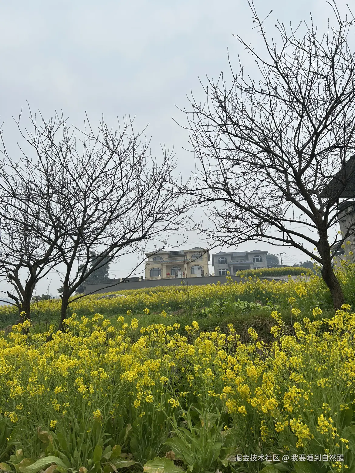 我要睡到自然醒于2026-02-17 17:43发布的图片