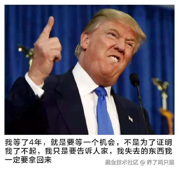 养了两只猫于2024-11-07 02:22发布的图片