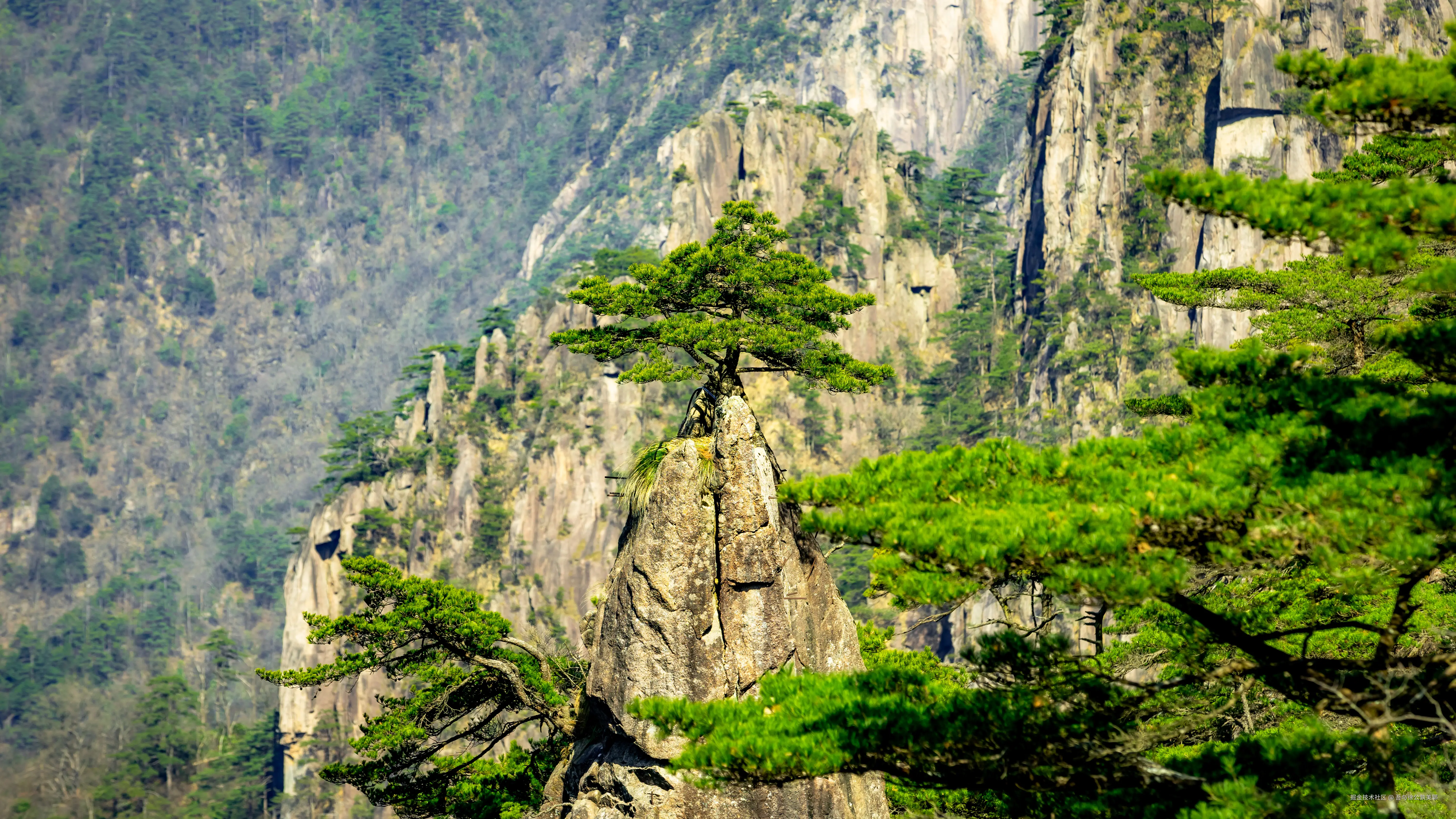 吾与徐公孰美耶于2025-05-08 16:00发布的图片