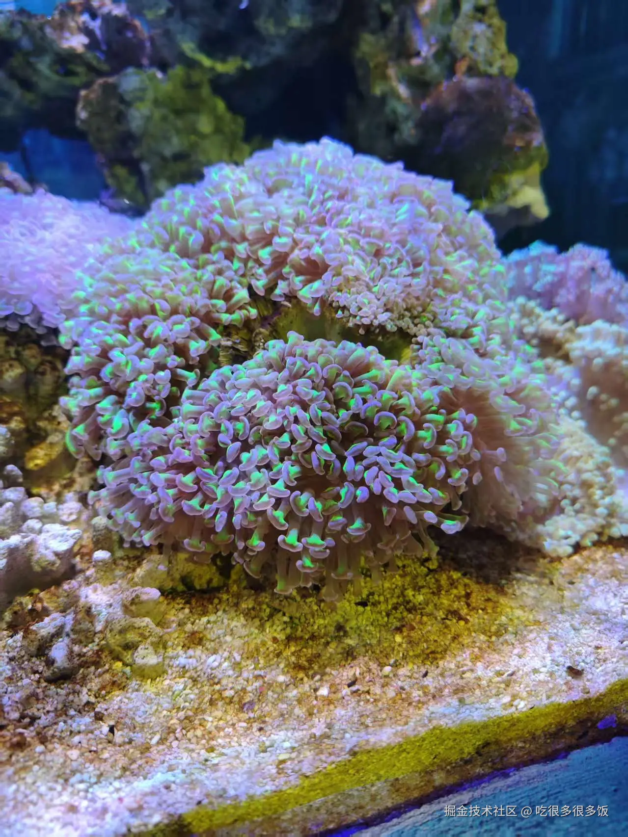 吃很多很多饭于2026-02-26 07:14发布的图片