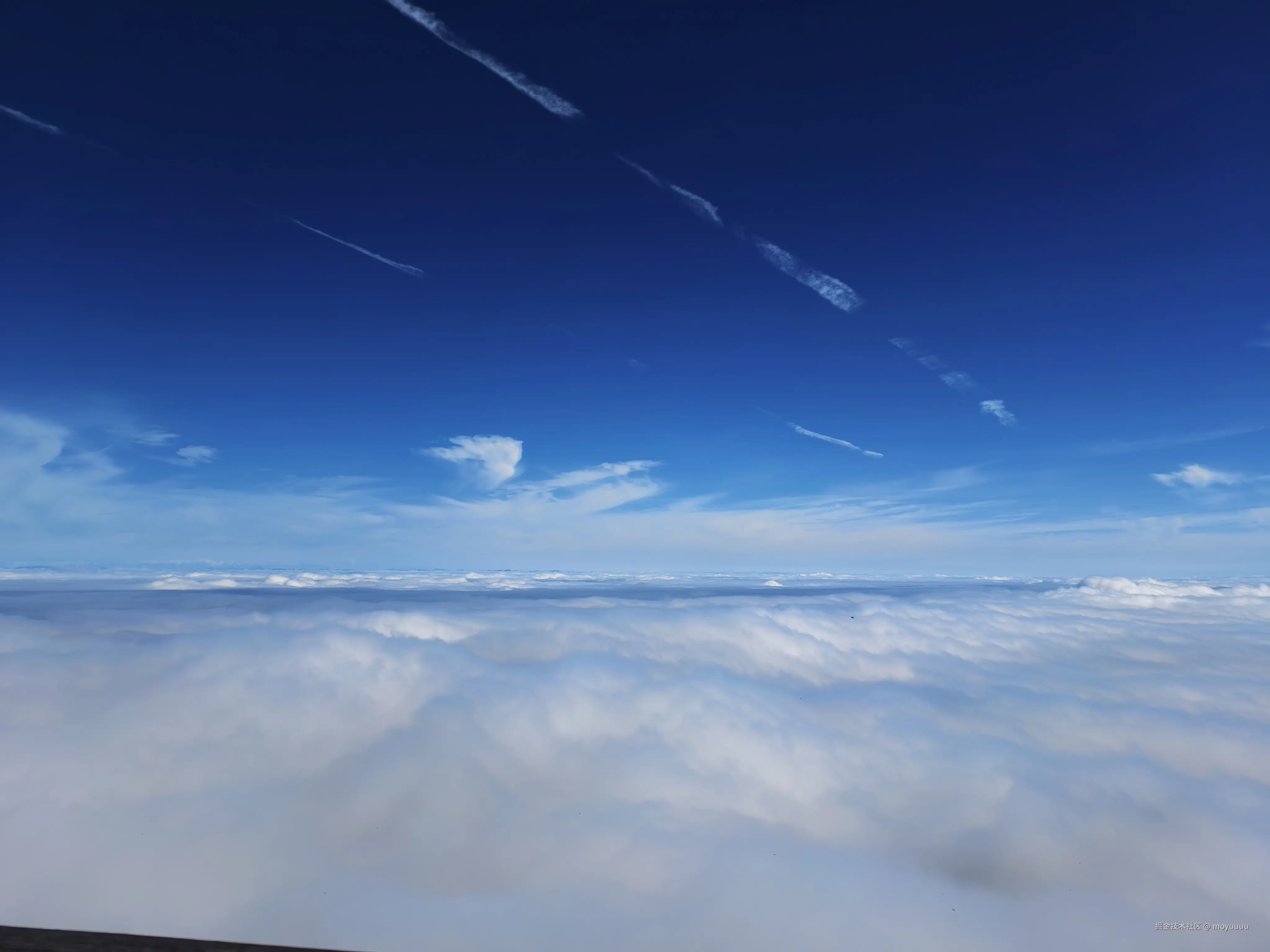 moyuuuu于2025-10-09 10:09发布的图片