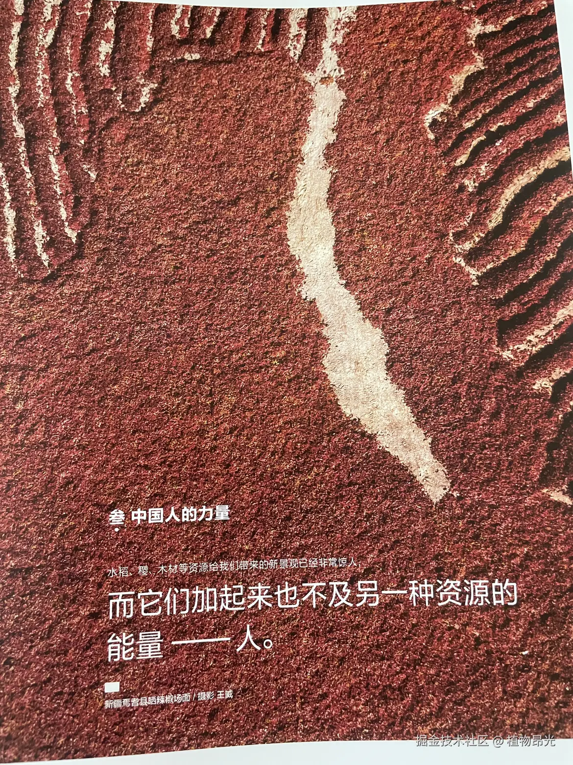 植物昂光于2026-04-30 22:33发布的图片