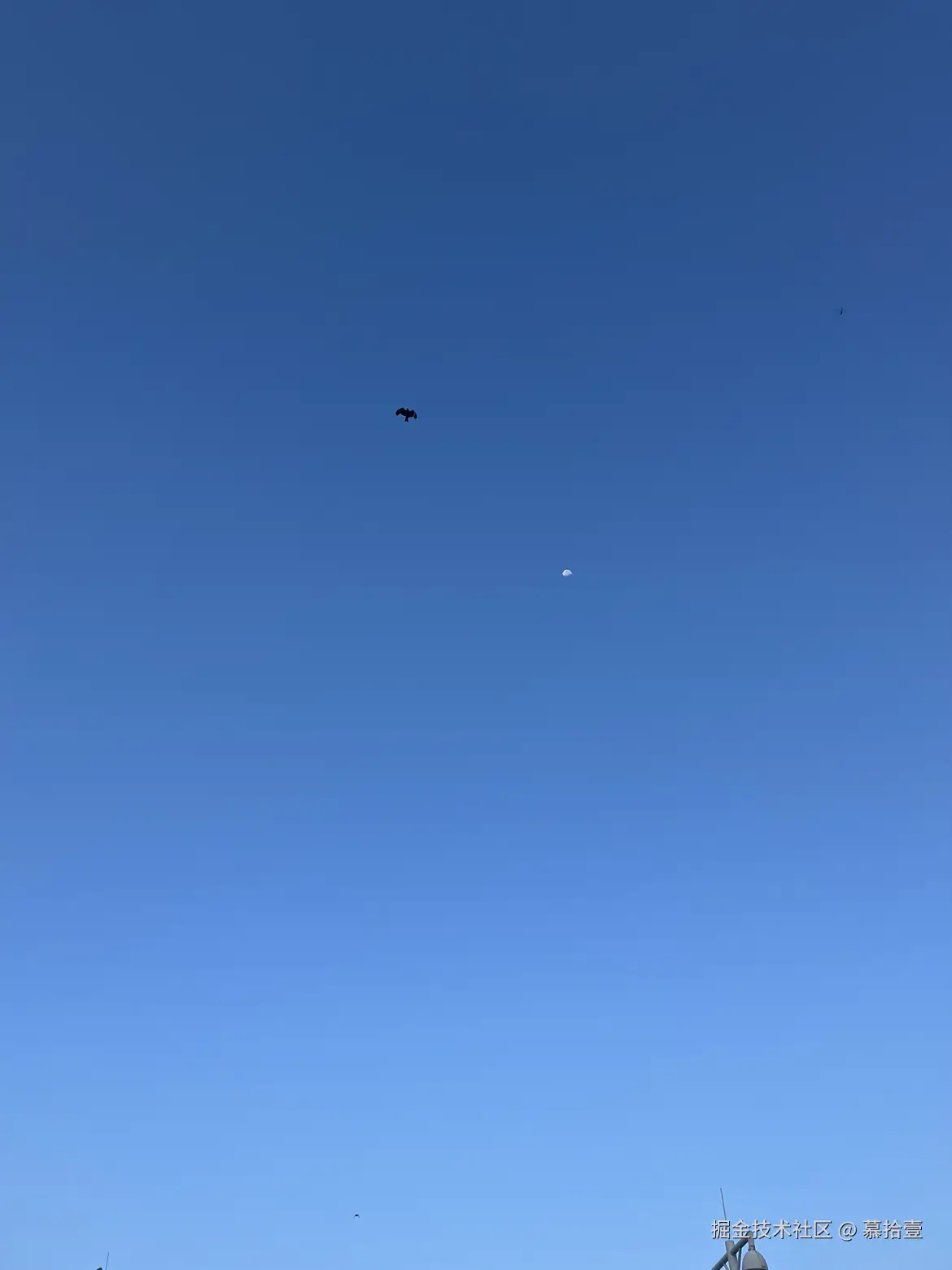 慕拾壹于2024-10-24 09:40发布的图片