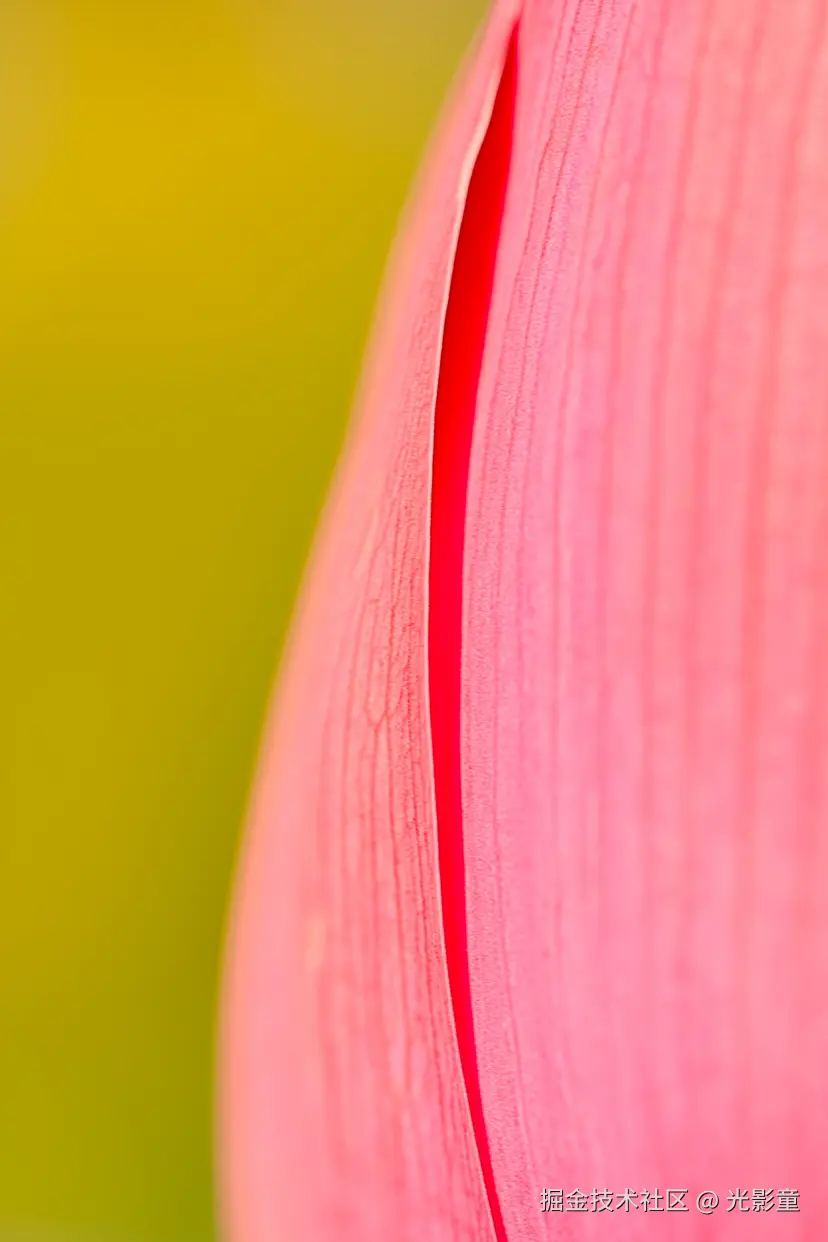 光影童于2025-06-30 06:43发布的图片