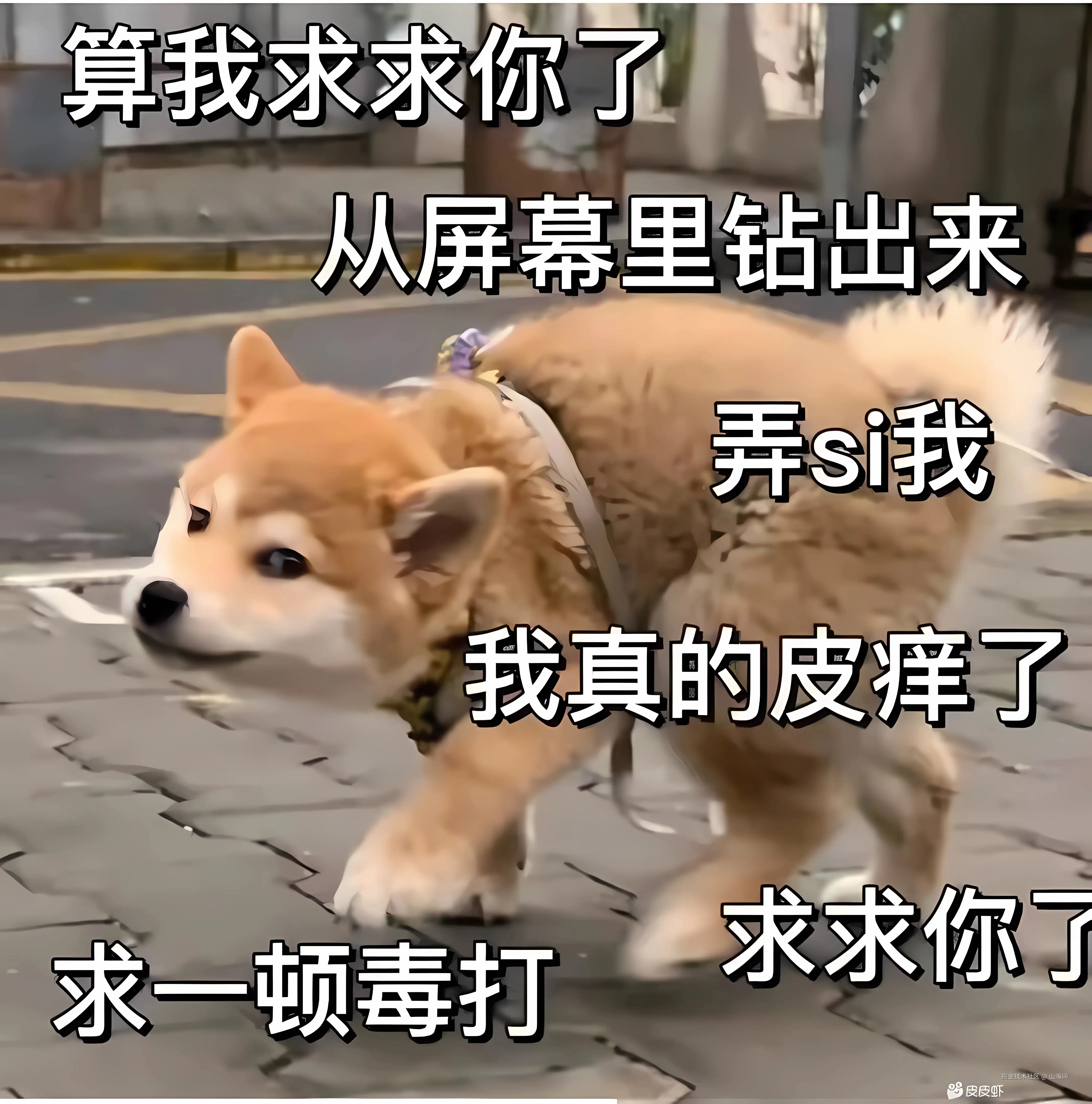 山海间于2025-05-08 09:13发布的图片