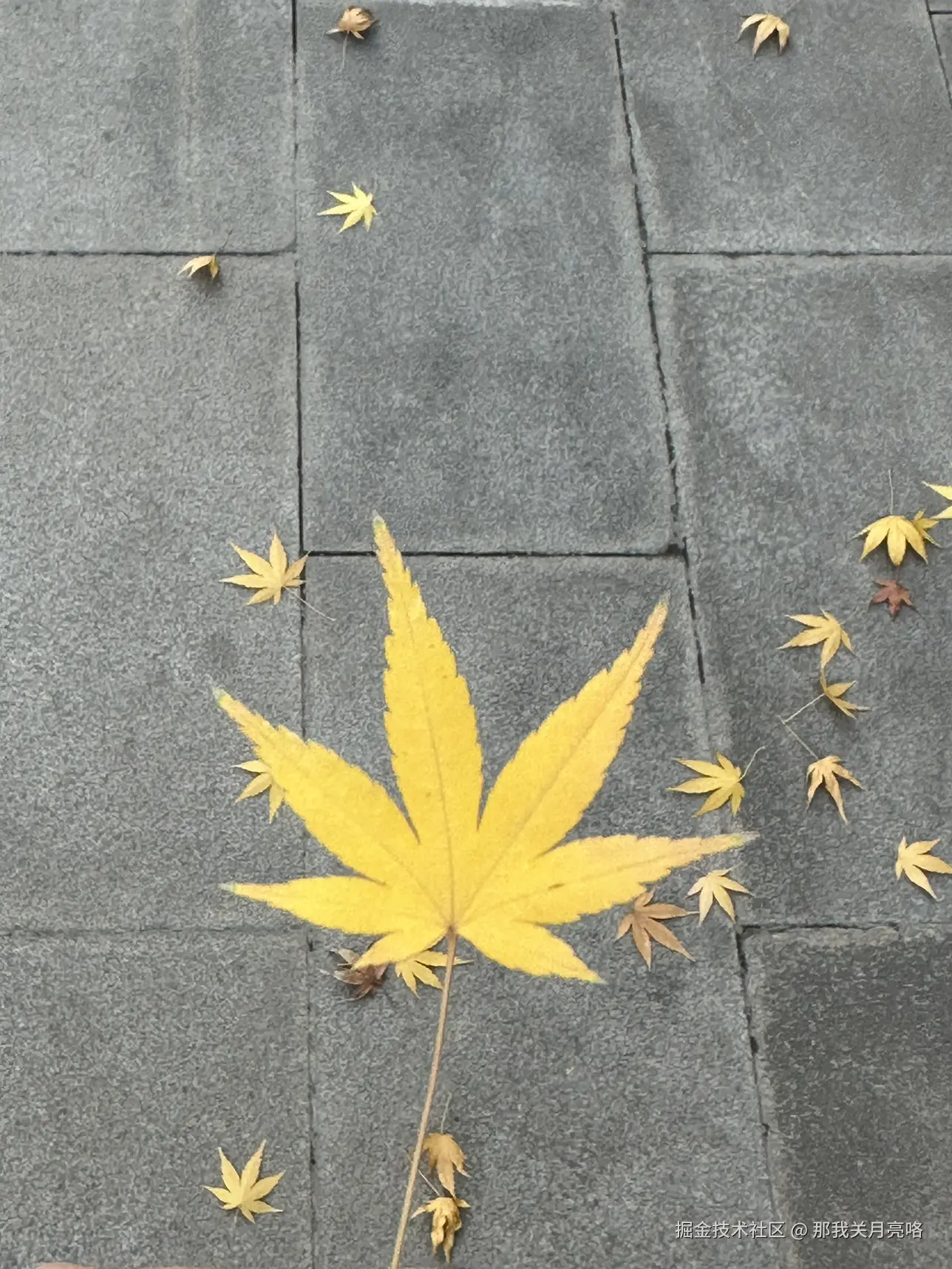 那我关月亮咯于2024-12-24 08:13发布的图片