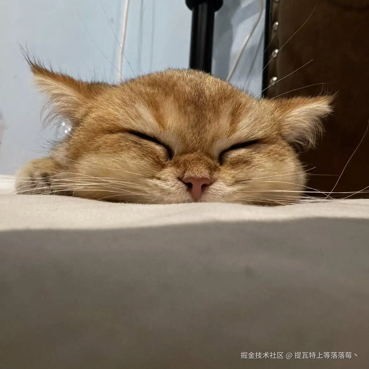 提瓦特上等落落莓丶于2024-11-04 08:47发布的图片