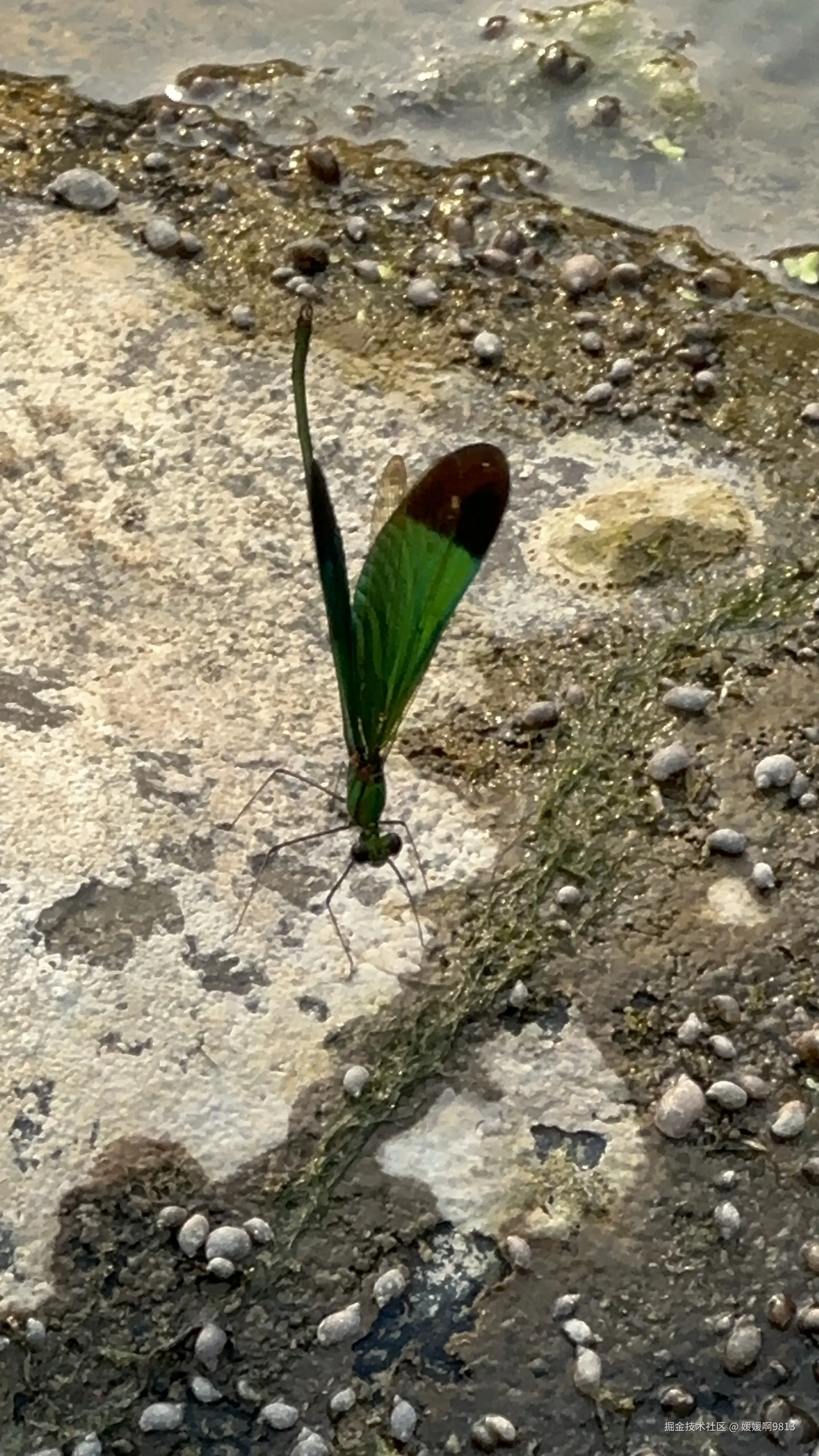 媛媛啊9813于2026-04-07 09:53发布的图片