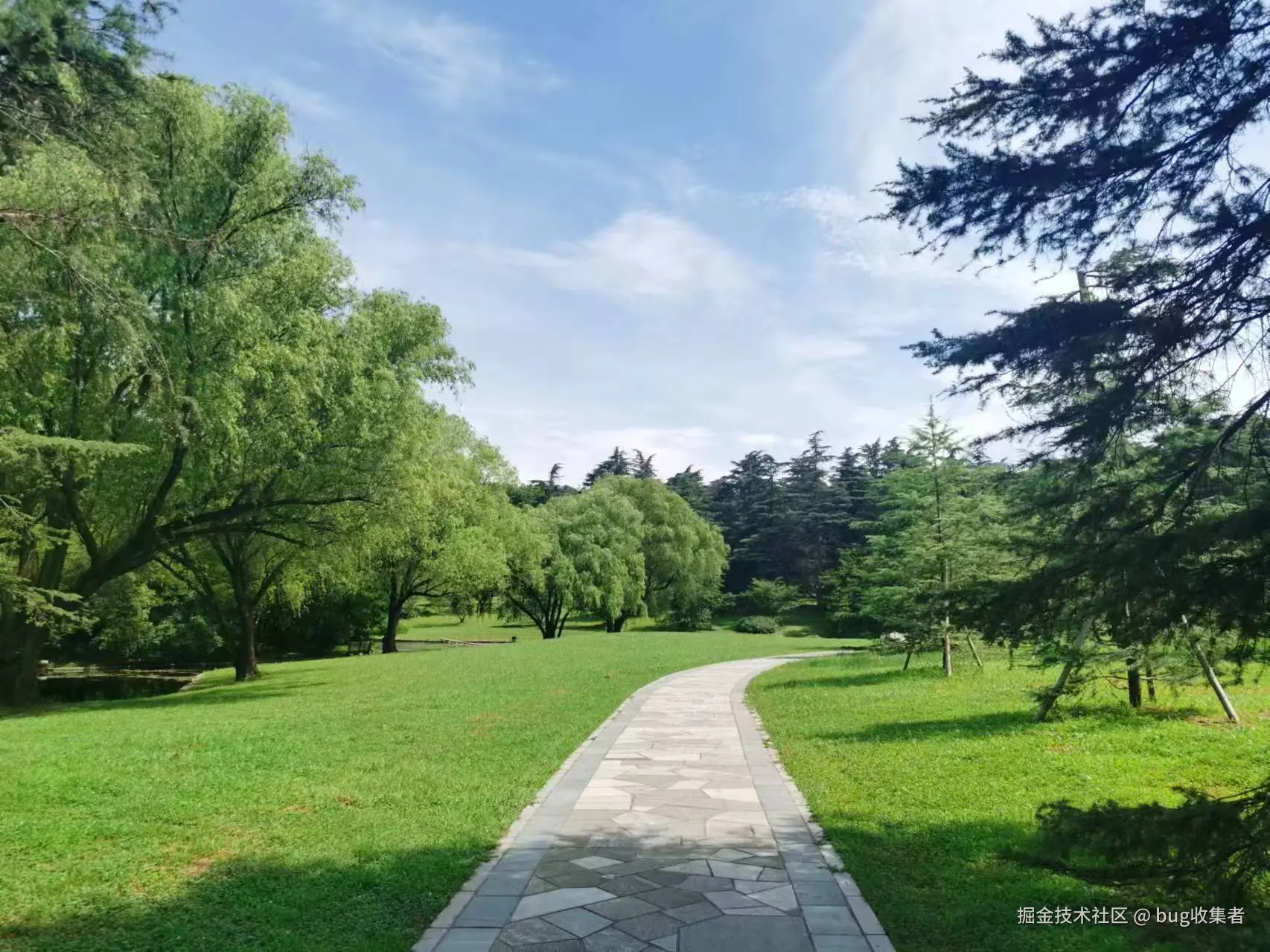 bug收集者于2024-07-20 17:29发布的图片
