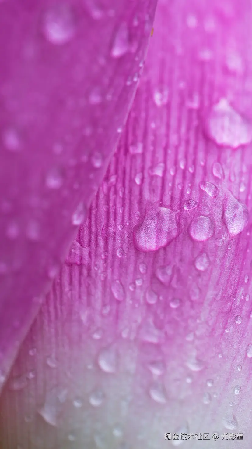 光影童于2025-08-05 08:23发布的图片