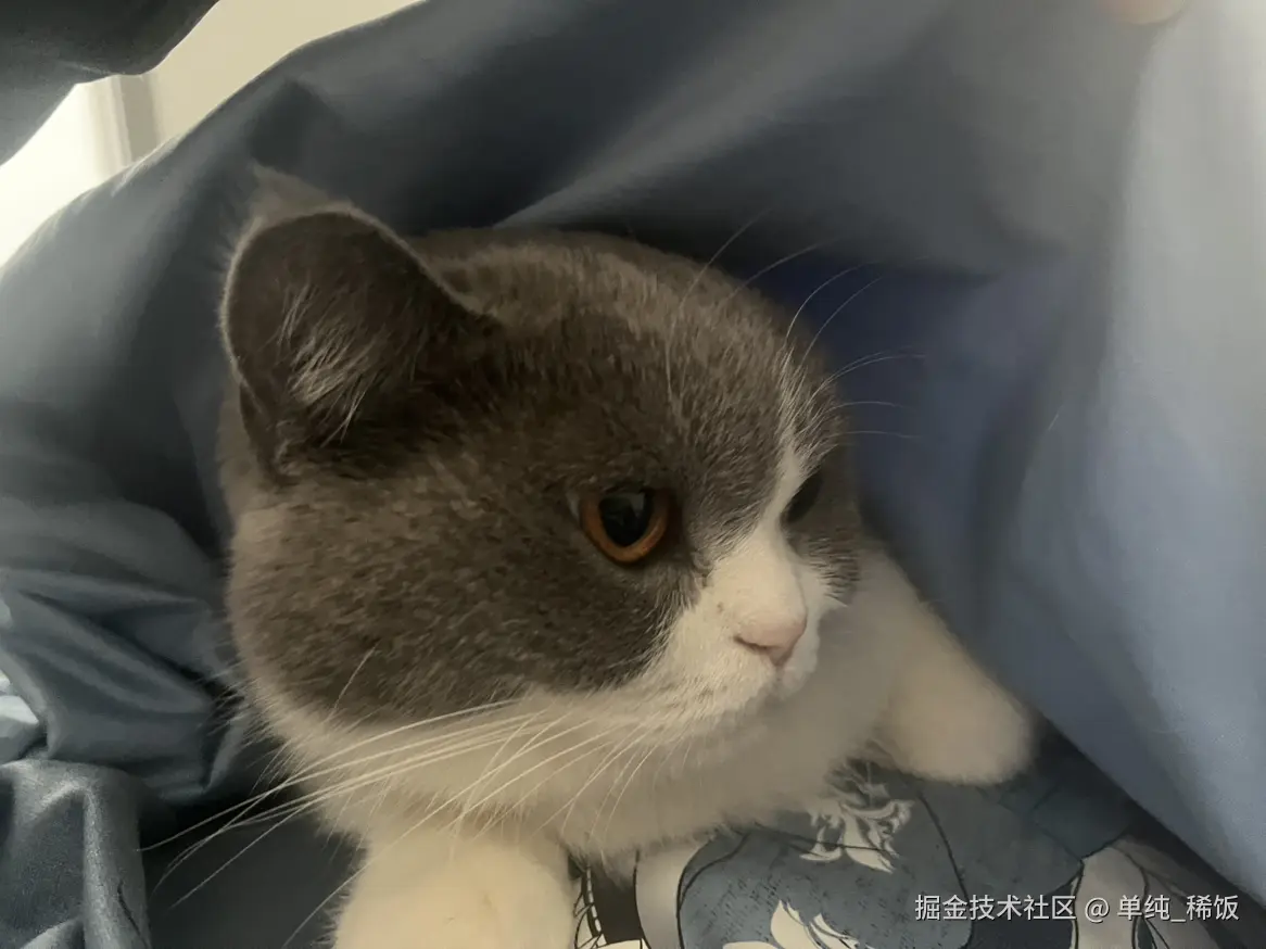 单纯_稀饭于2024-12-23 08:59发布的图片