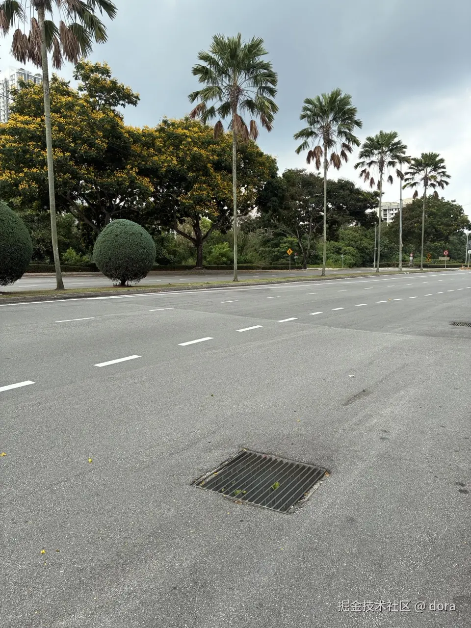 dora于2026-04-13 00:29发布的图片