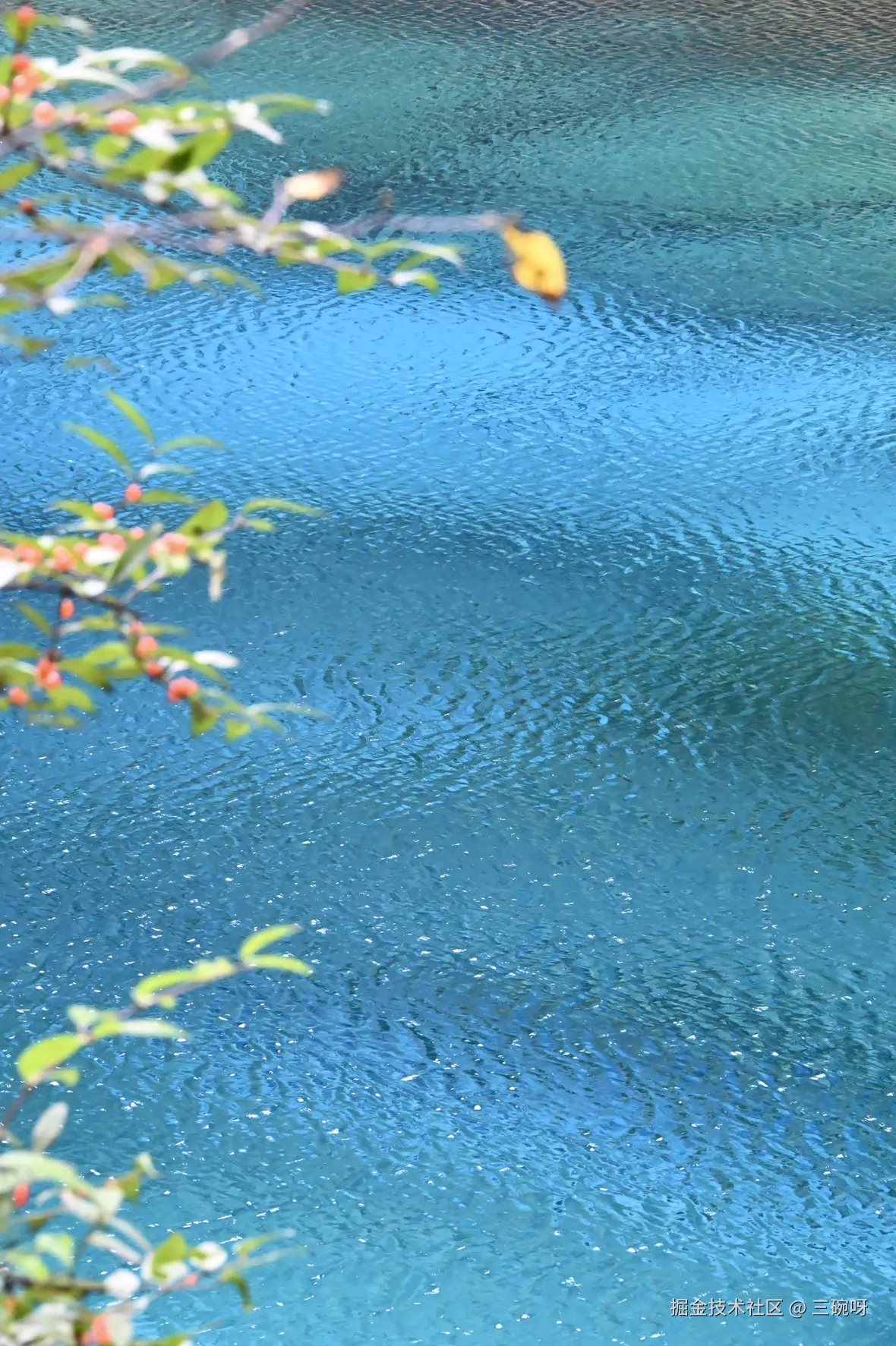 三碗呀于2025-11-19 16:23发布的图片