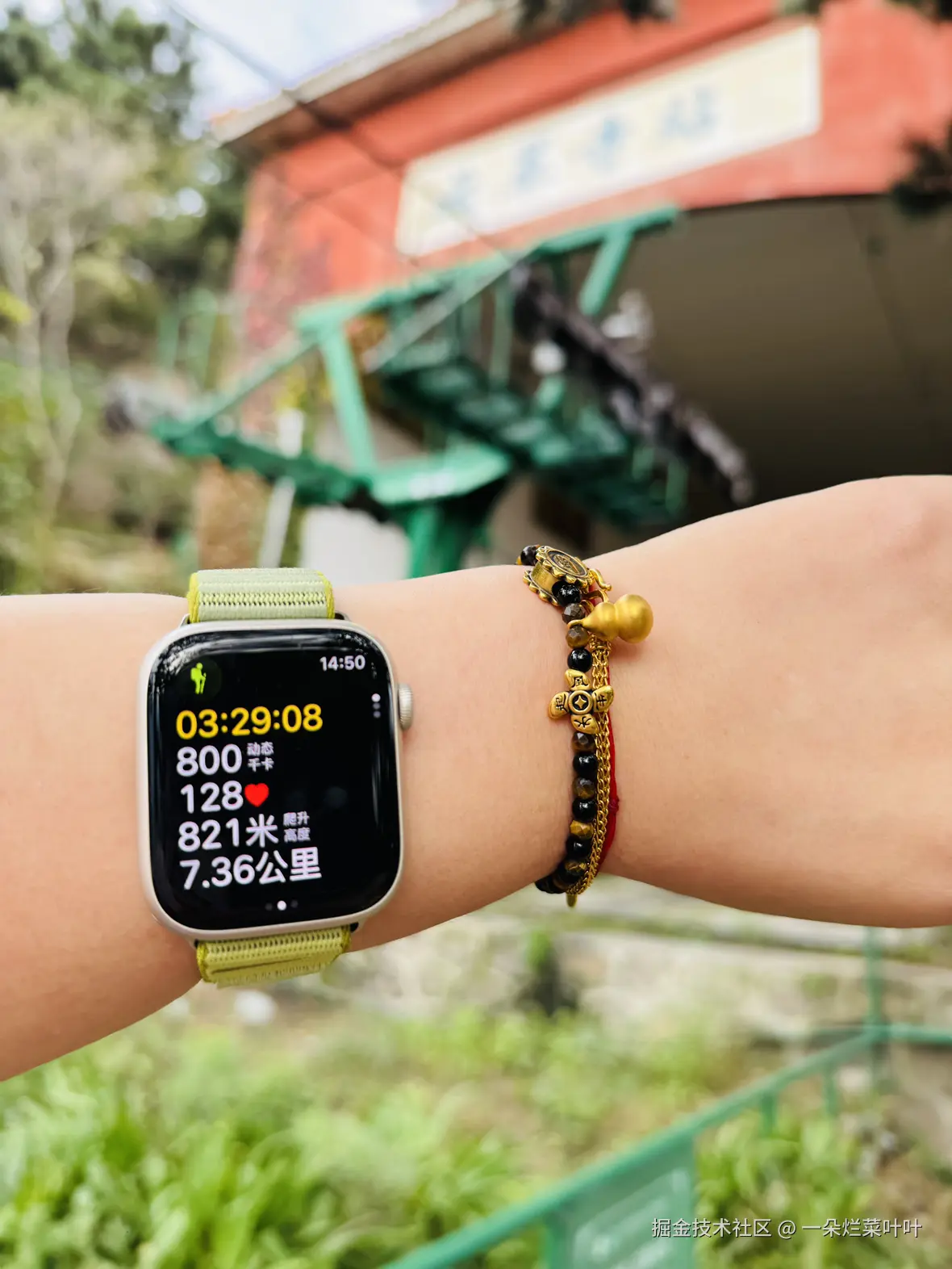 一朵烂菜叶叶于2025-10-20 10:23发布的图片