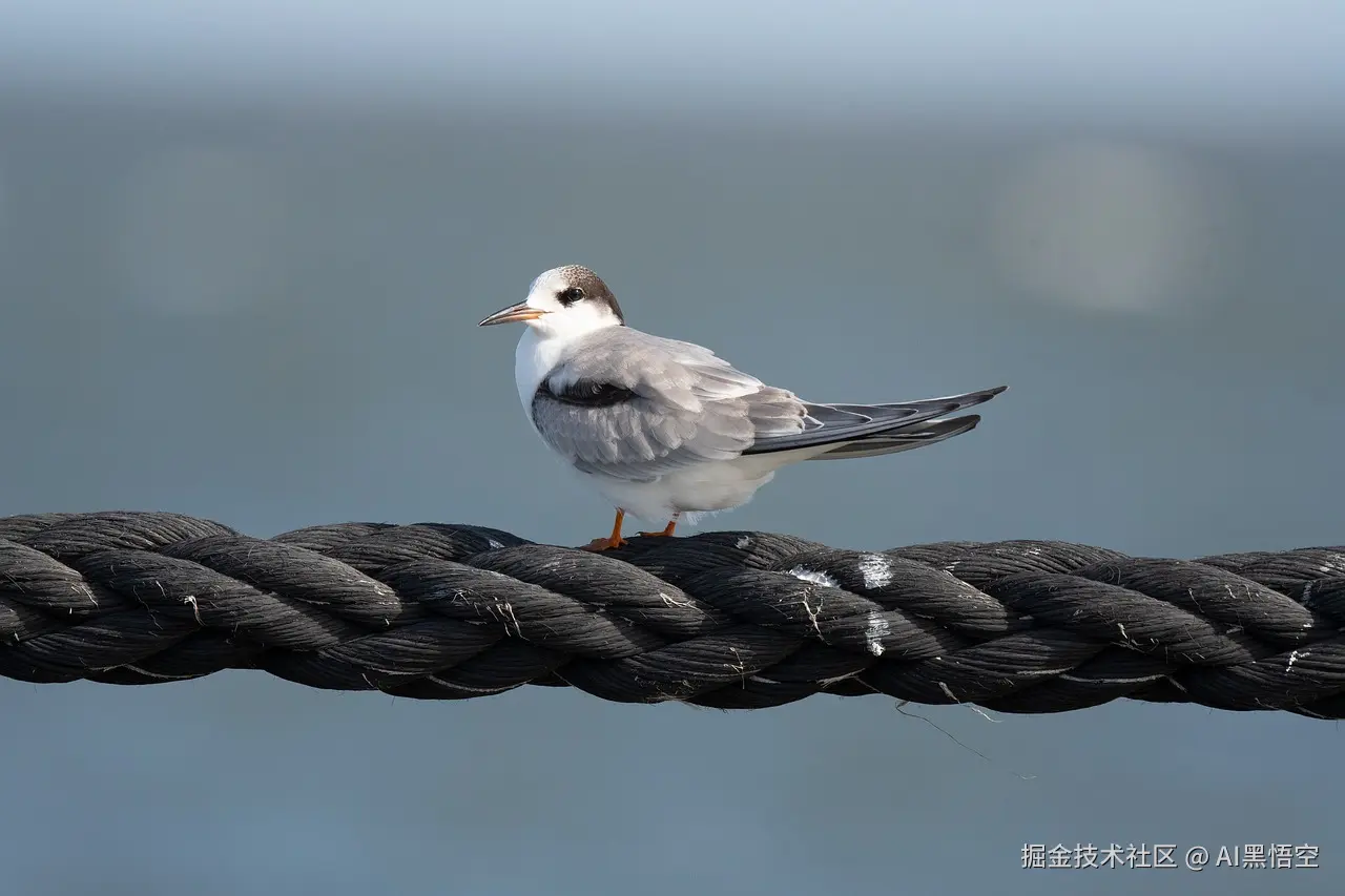 Claude应用开发教程