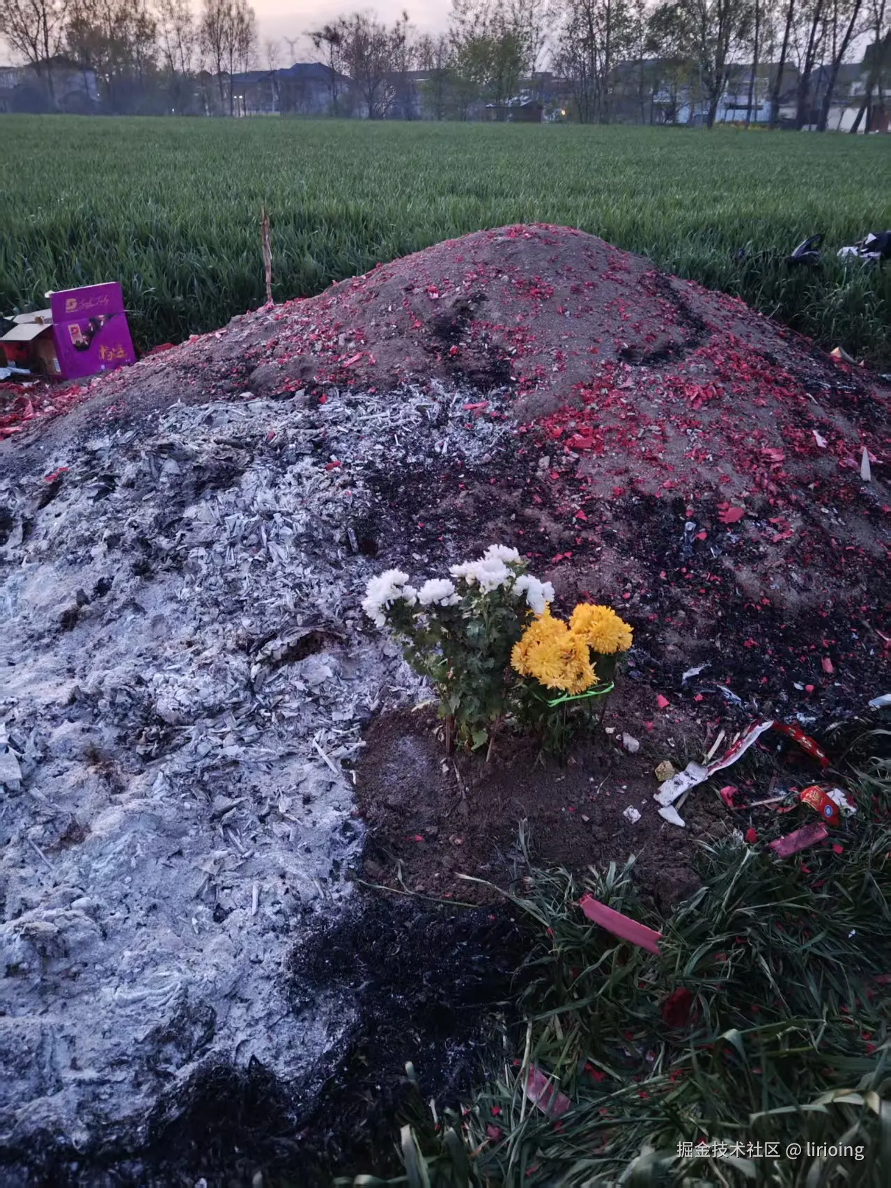 lirioing于2026-04-07 14:04发布的图片