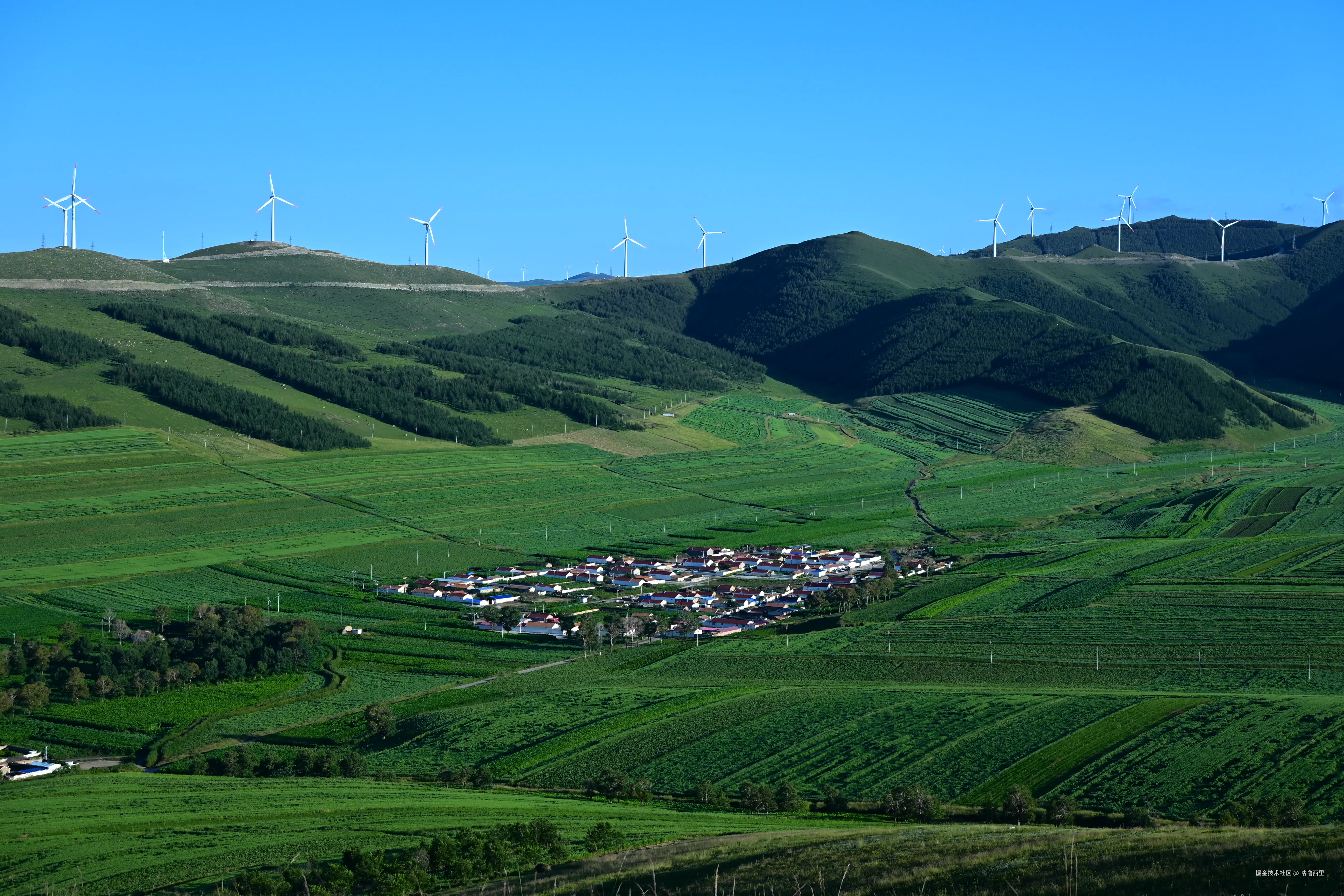 咕噜西里于2025-08-29 13:42发布的图片