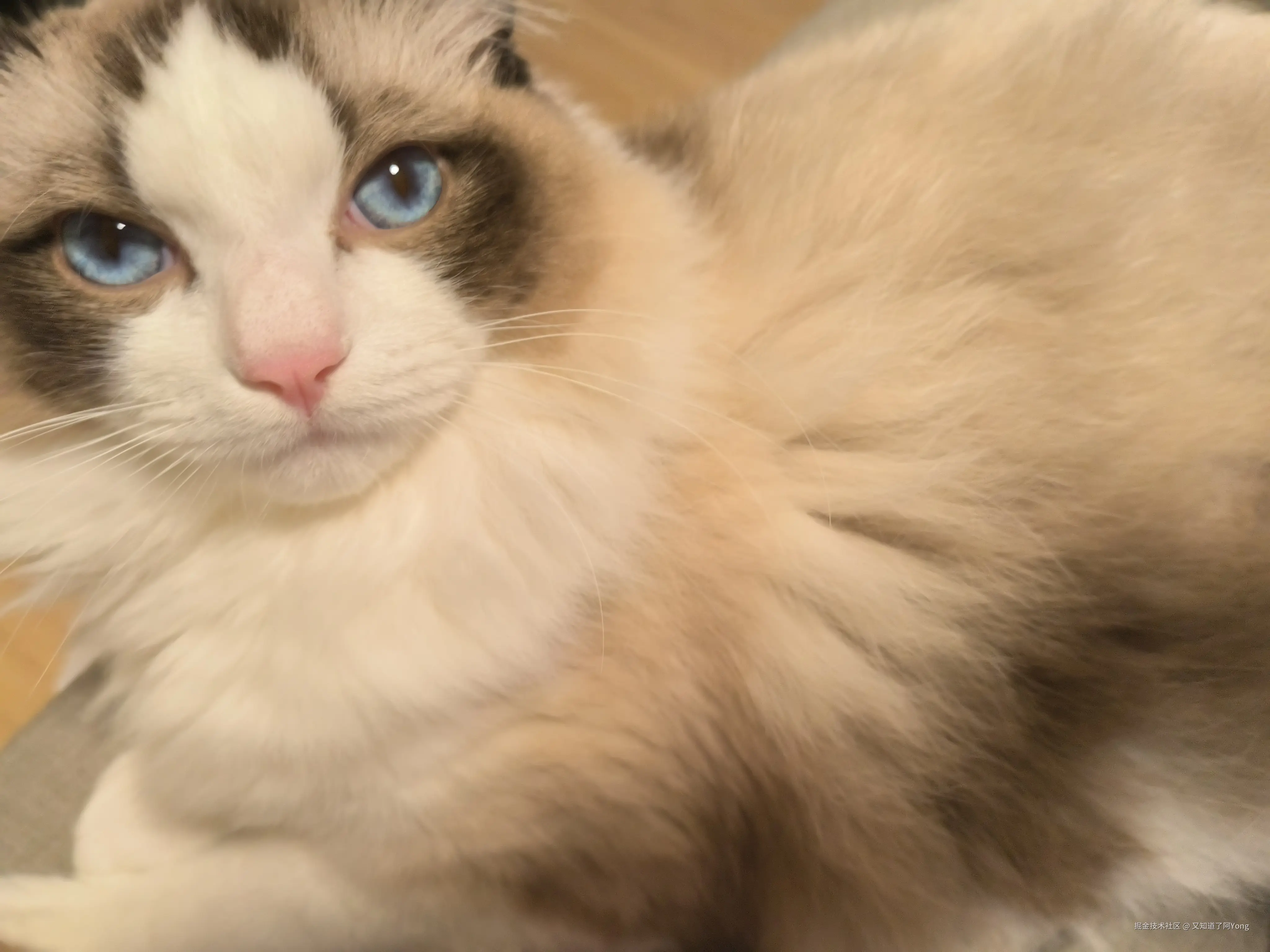 又知道了阿Yong于2025-03-01 16:46发布的图片