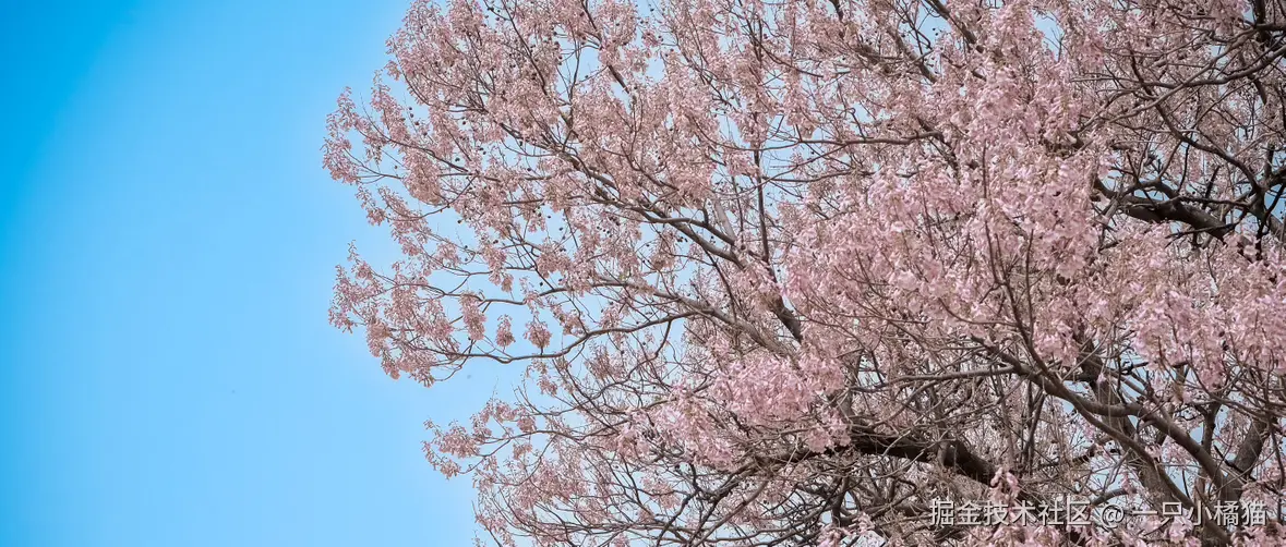 一只小橘猫于2025-04-18 09:39发布的图片