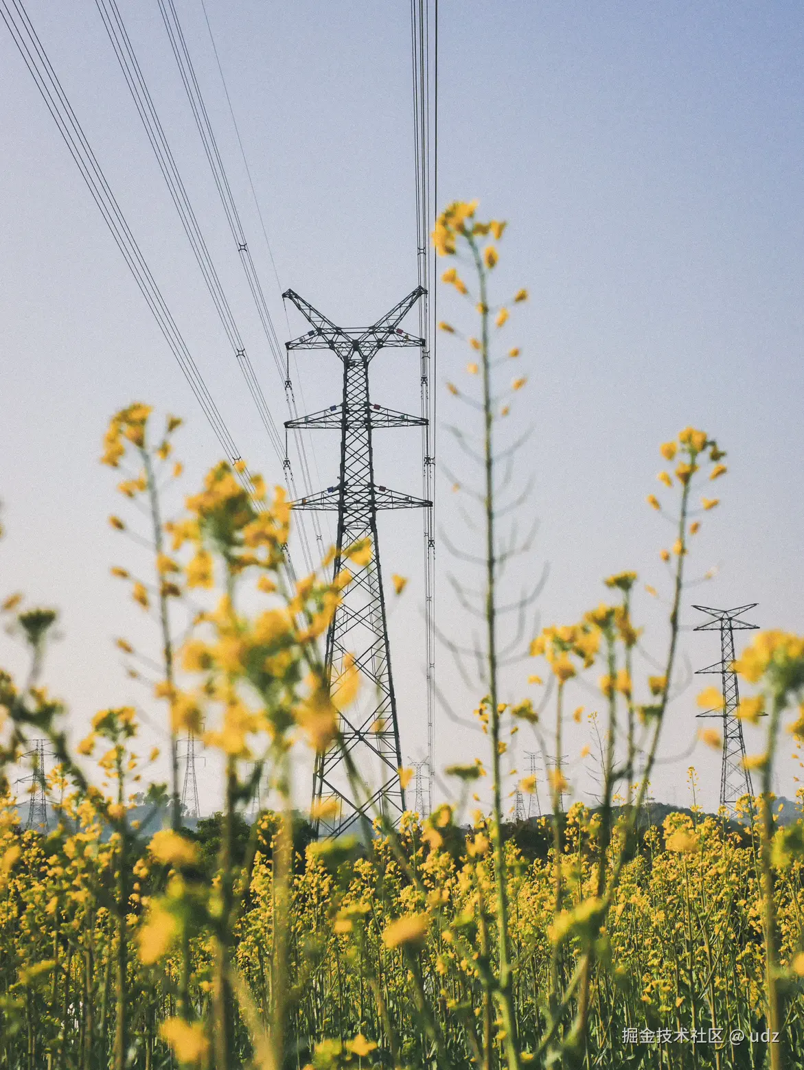 udz于2025-01-20 14:43发布的图片