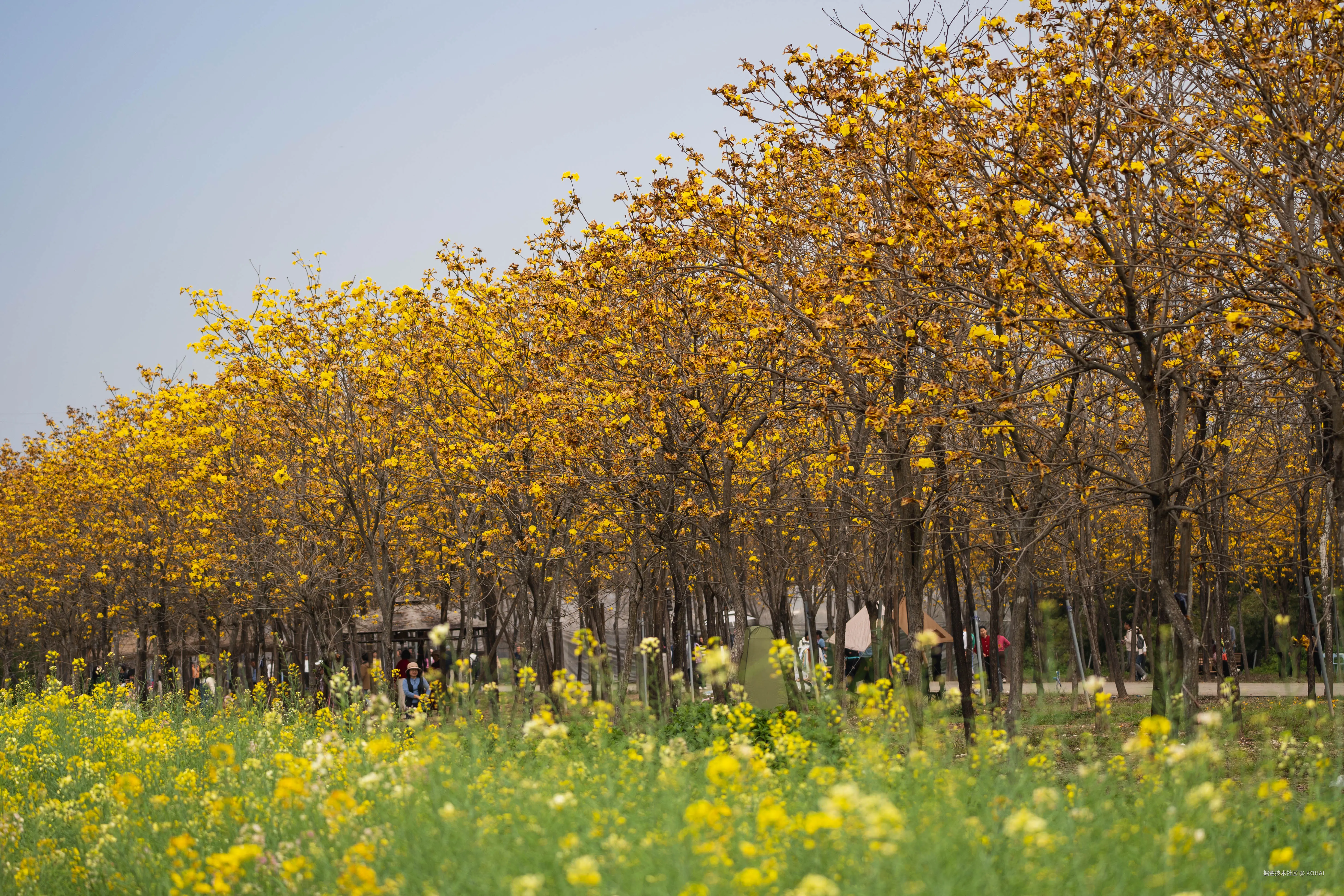 KOHAI于2025-03-10 11:38发布的图片