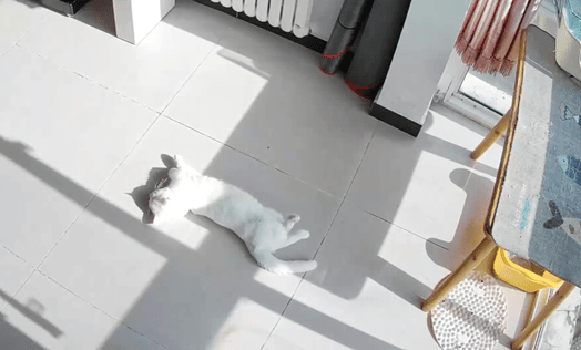 就爱吃火锅于2025-10-28 11:15发布的图片