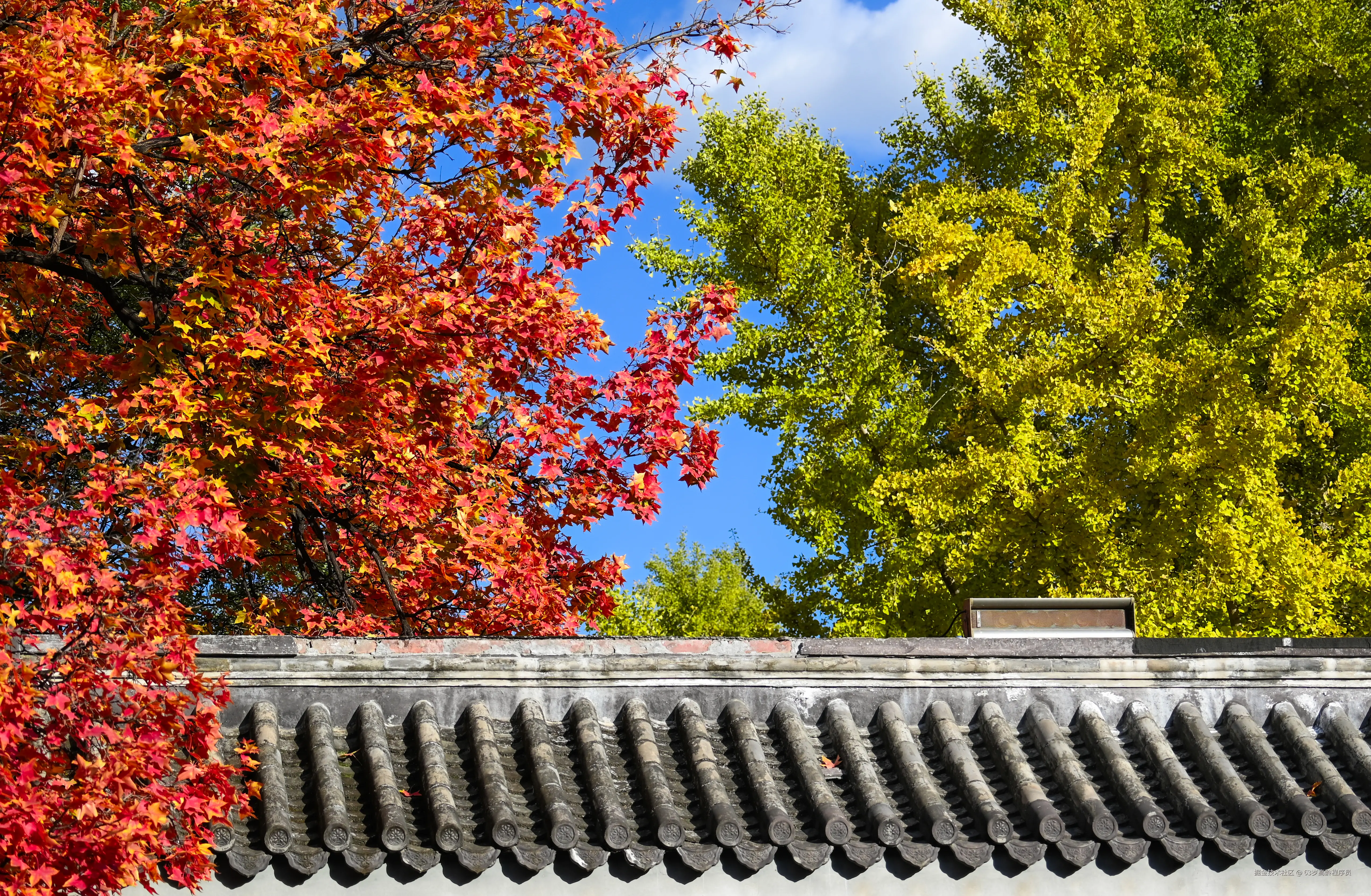 63岁高龄程序员于2025-11-05 15:17发布的图片