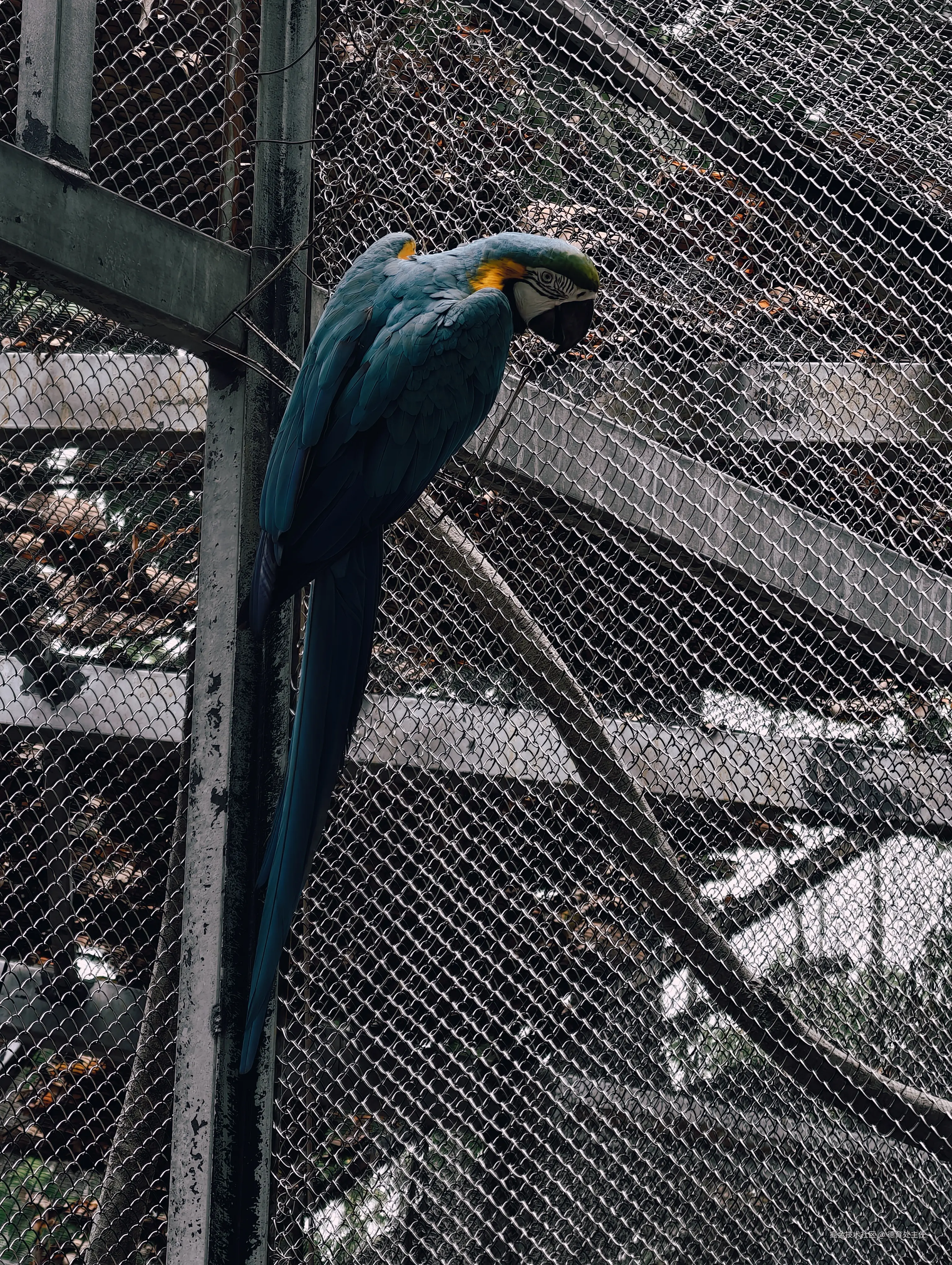 德育处主任于2025-05-10 14:29发布的图片