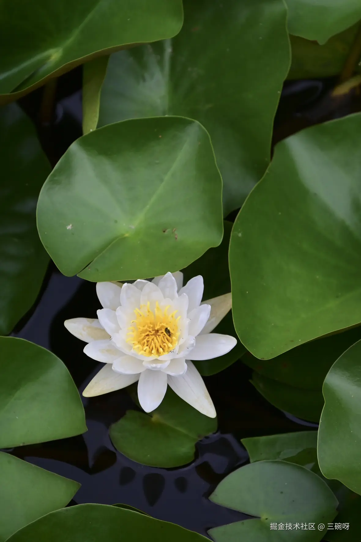 三碗呀于2025-06-16 09:28发布的图片