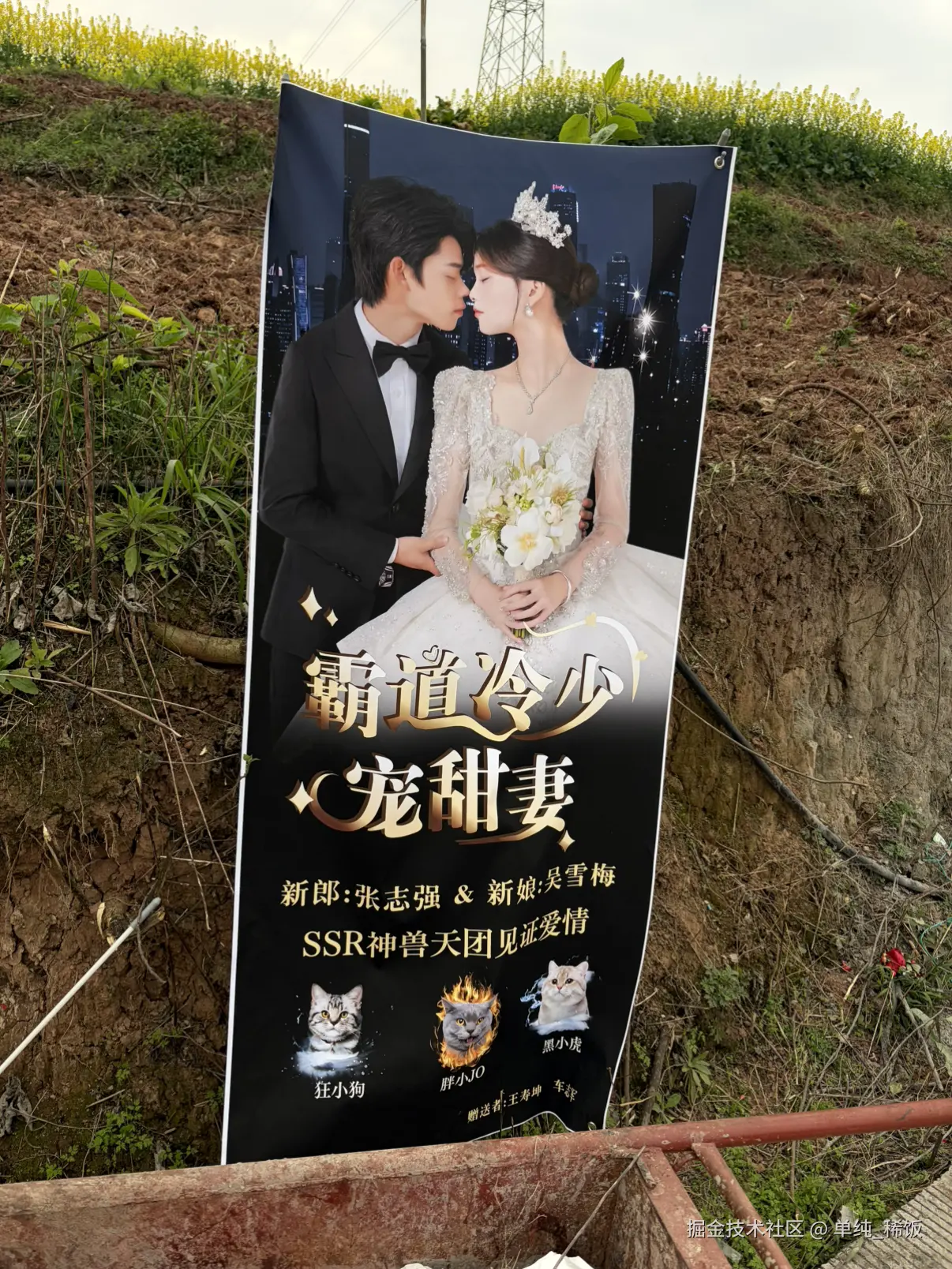 单纯_稀饭于2026-02-26 11:15发布的图片