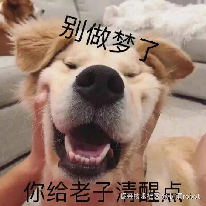 树洞robot于2024-09-12 14:09发布的图片