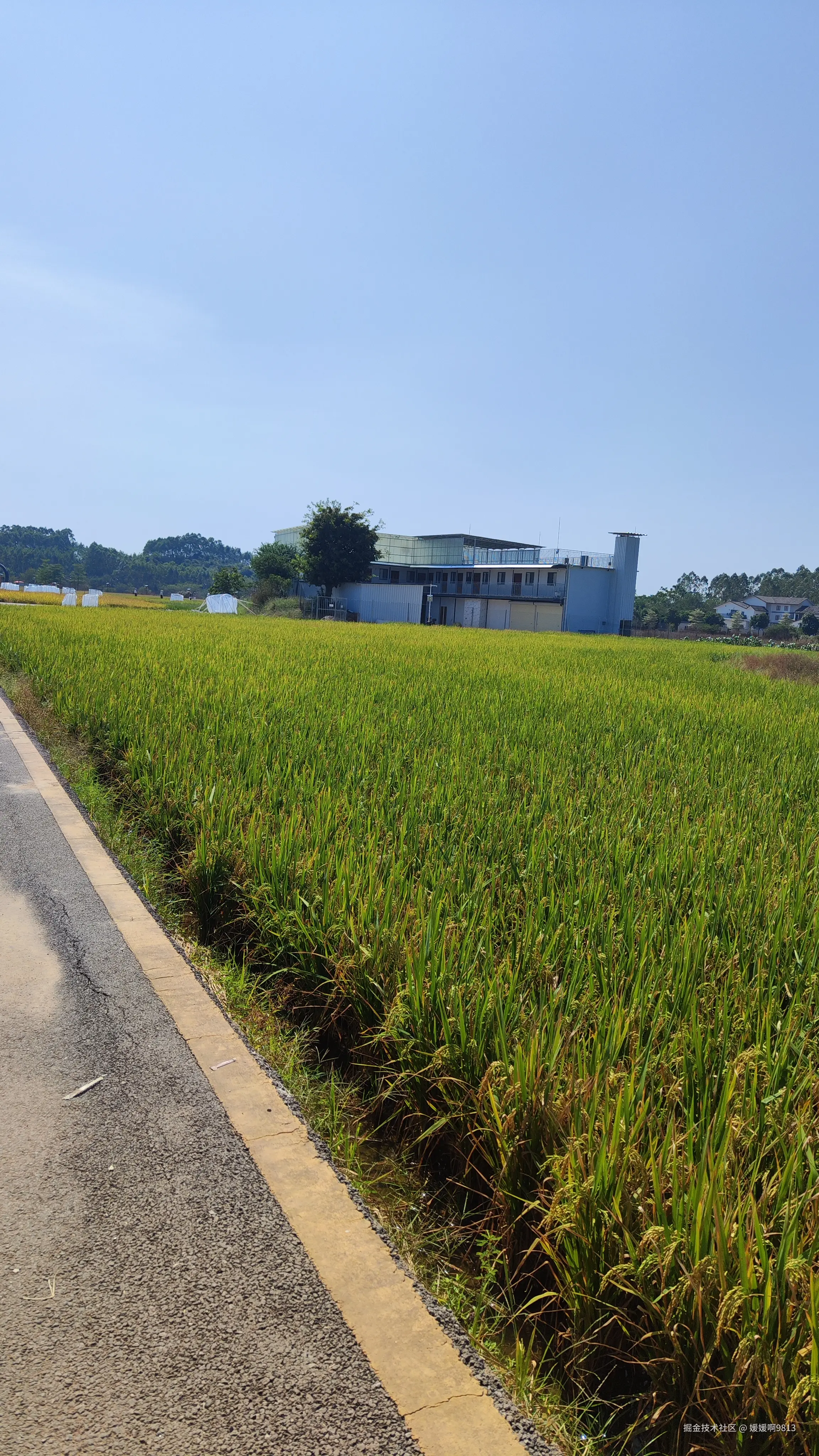 媛媛啊9813于2024-11-03 07:19发布的图片