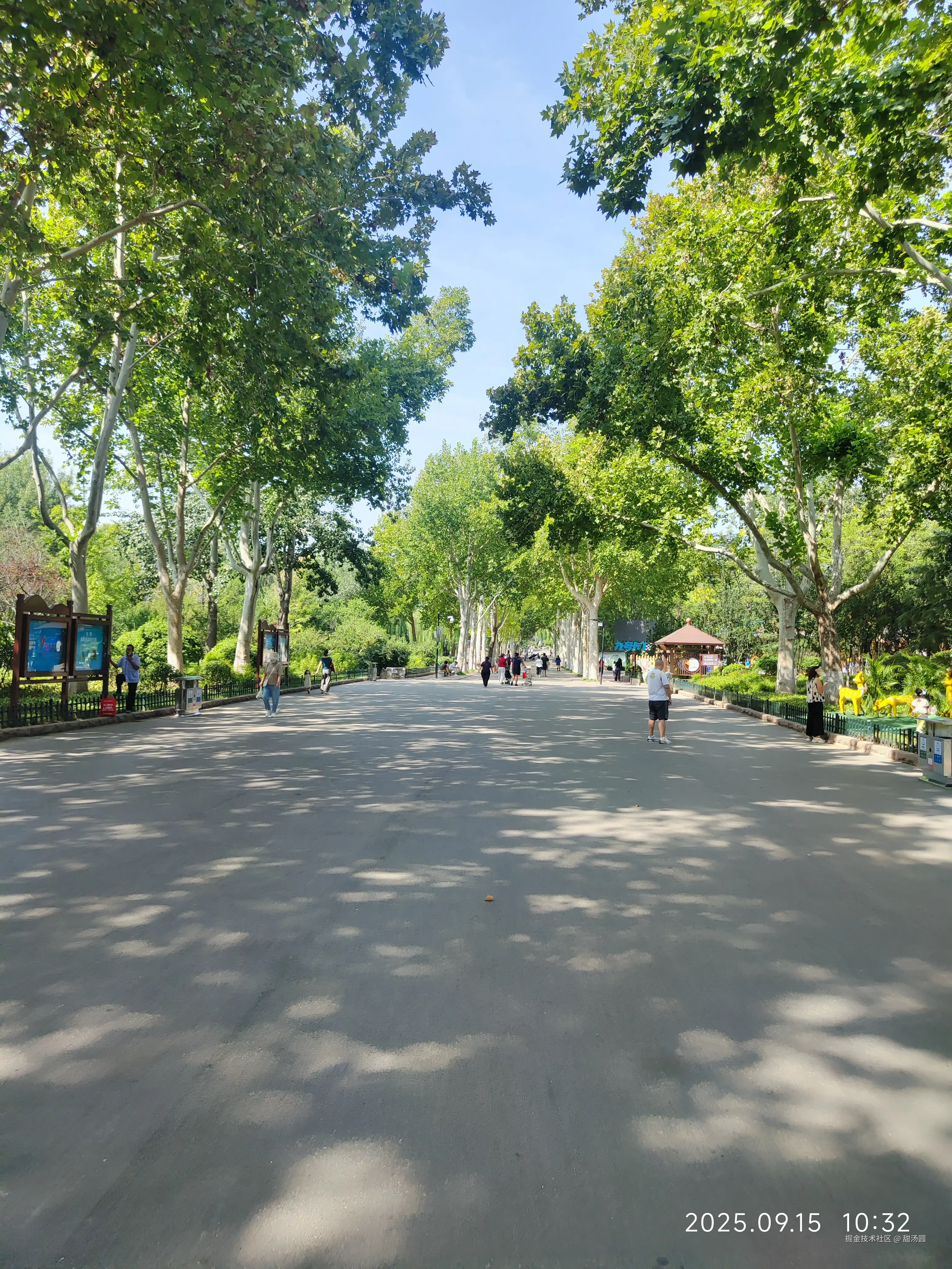 甜汤圆于2025-09-15 10:36发布的图片