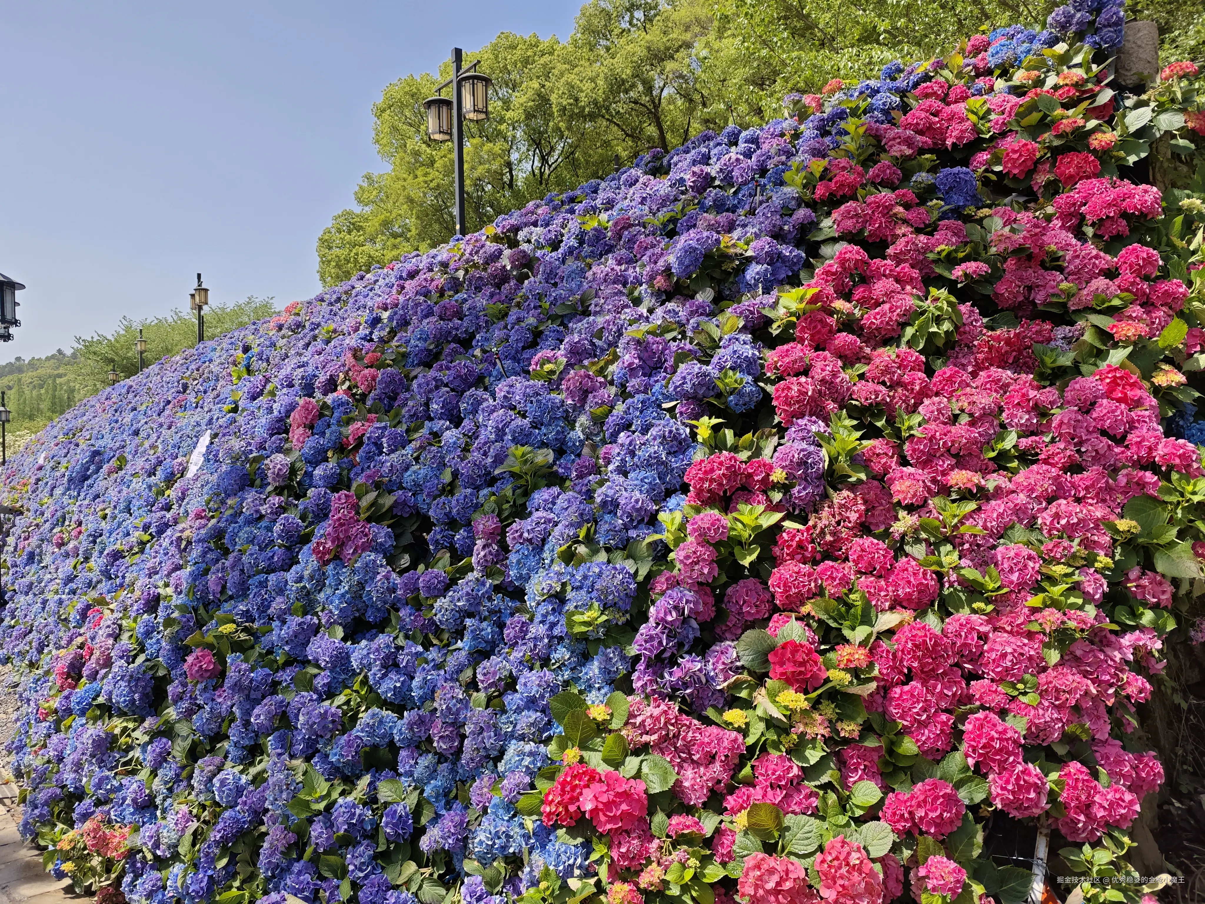 优秀稳妥的金枪小魔王于2025-04-15 13:28发布的图片