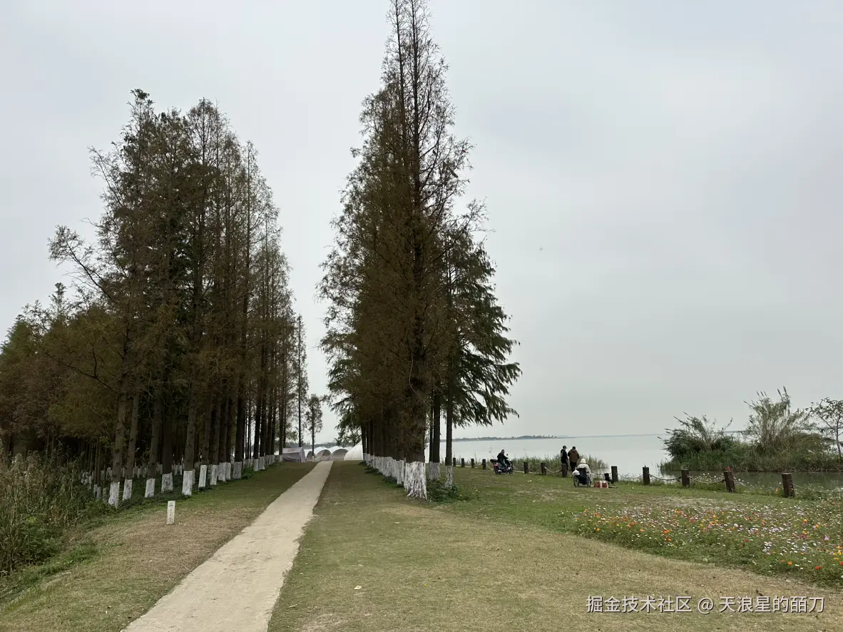 天浪星的皕刀于2024-11-21 07:12发布的图片