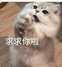 咩系timing啊于2026-01-07 15:34发布的图片