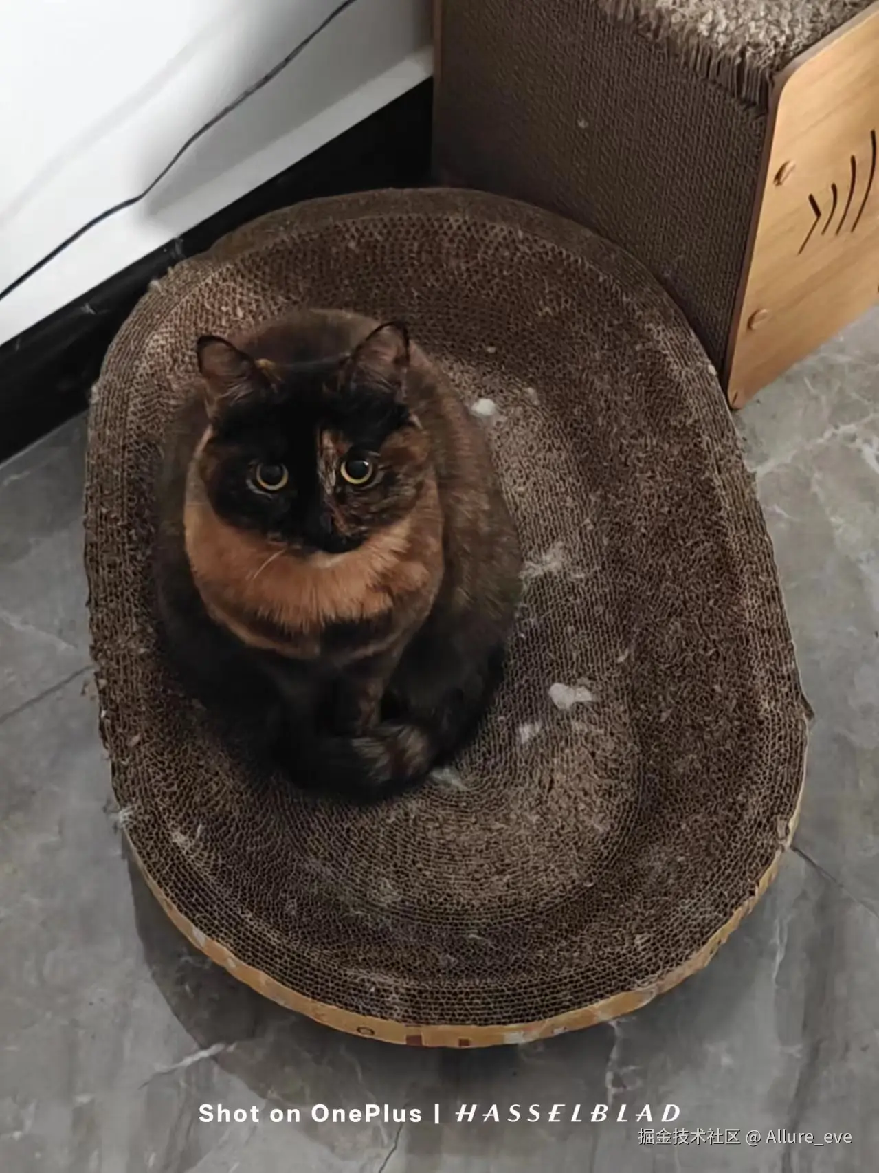 Allure_eve于2024-11-21 17:36发布的图片