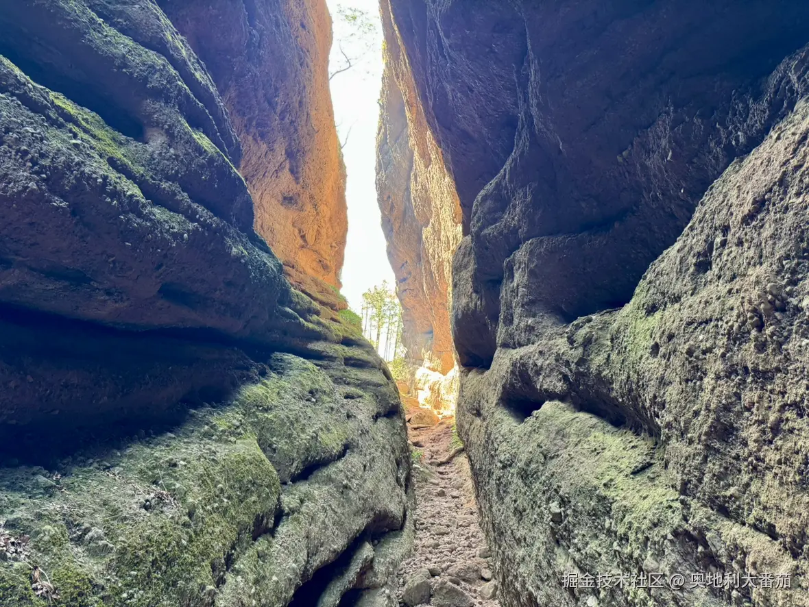 奥地利大番茄于2025-03-24 10:28发布的图片