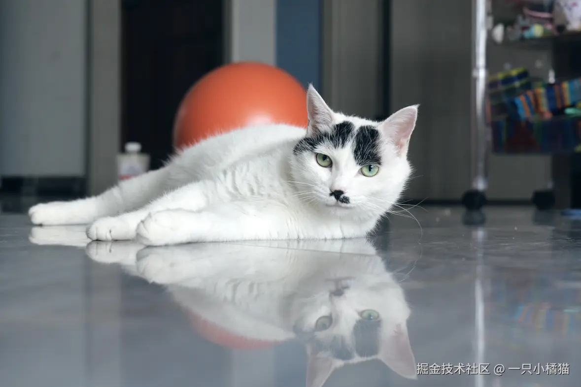 一只小橘猫于2026-06-28 01:46发布的图片