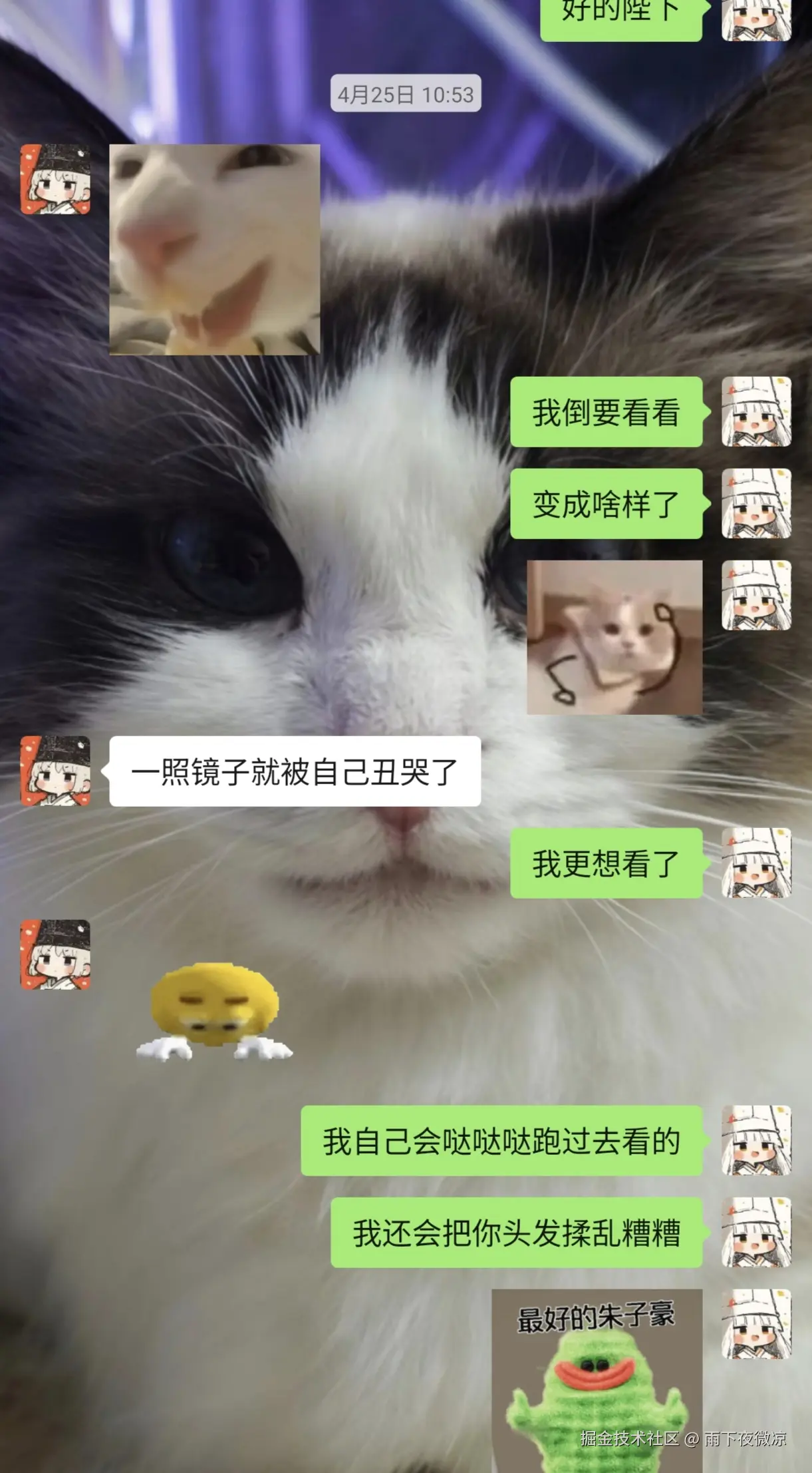 雨下夜微凉于2026-04-27 10:44发布的图片