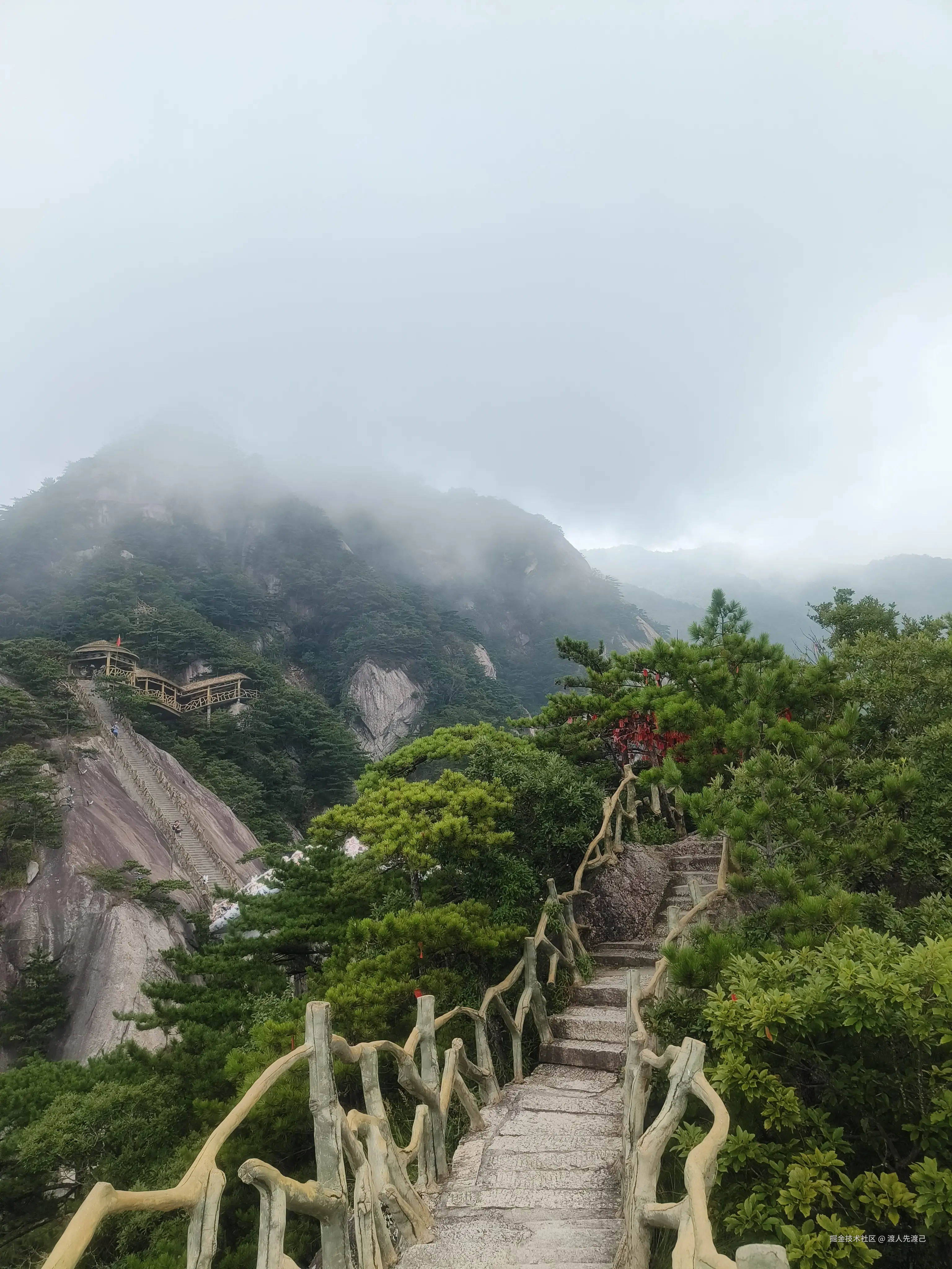 渡人先渡己于2024-08-12 18:19发布的图片