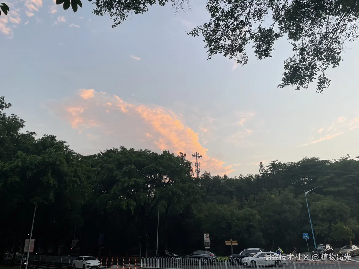 植物昂光于2026-09-06 14:59发布的图片