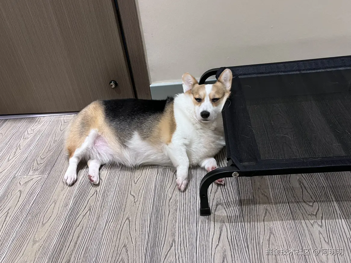 阿明明于2025-04-03 14:57发布的图片