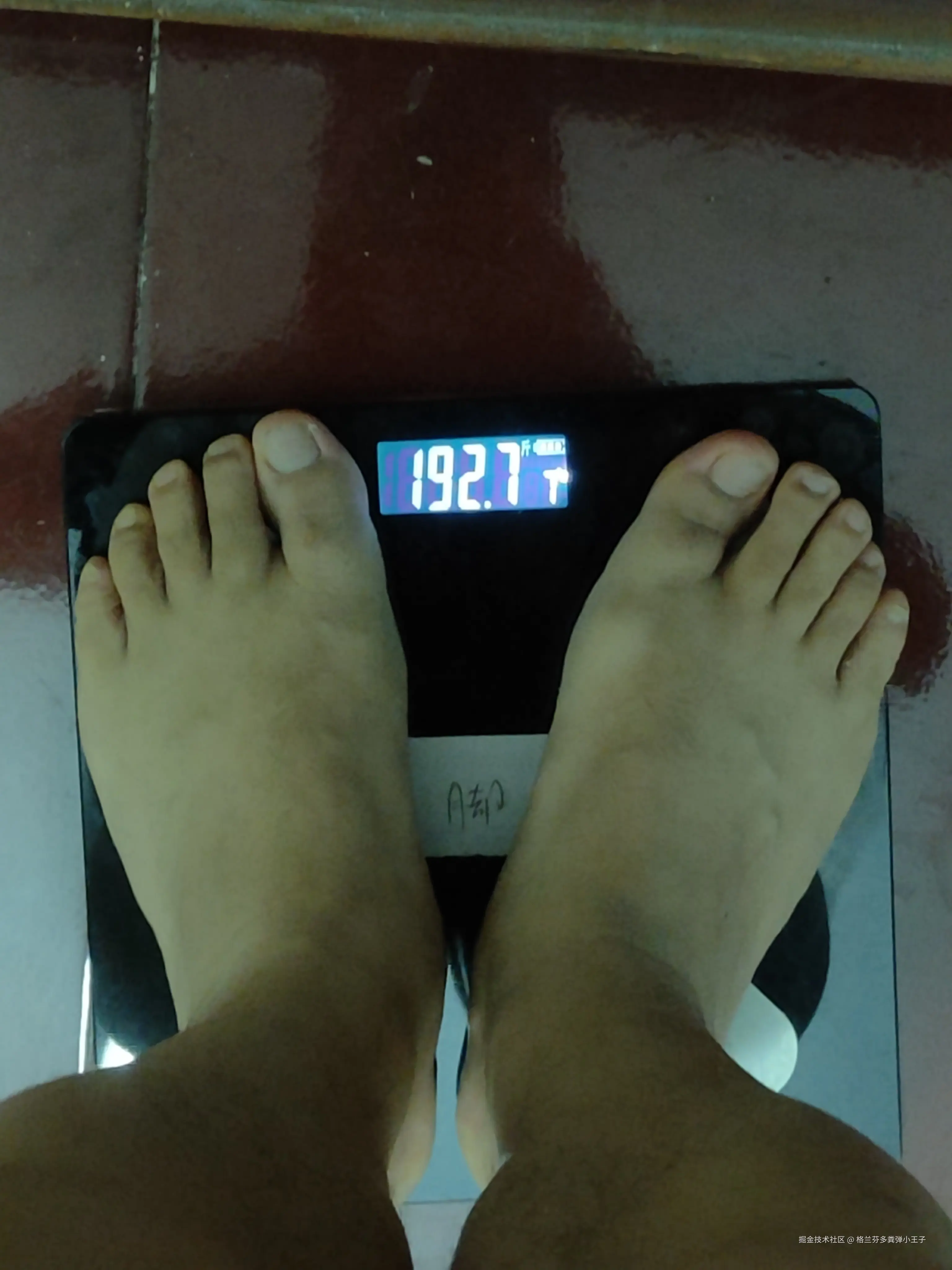 格兰芬多粪弹小王子于2025-01-22 09:38发布的图片