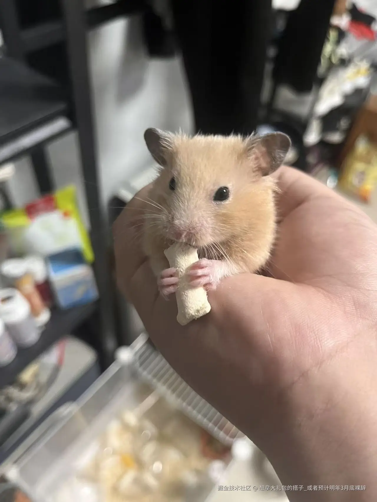 想拿大礼包的搭子_或者预计明年3月底裸辞于2025-09-02 09:13发布的图片