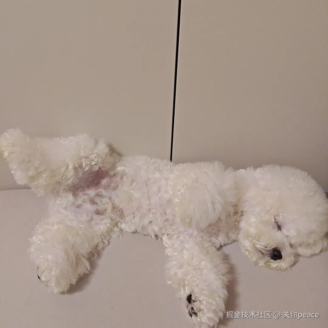 关你peace于2024-10-18 10:20发布的图片