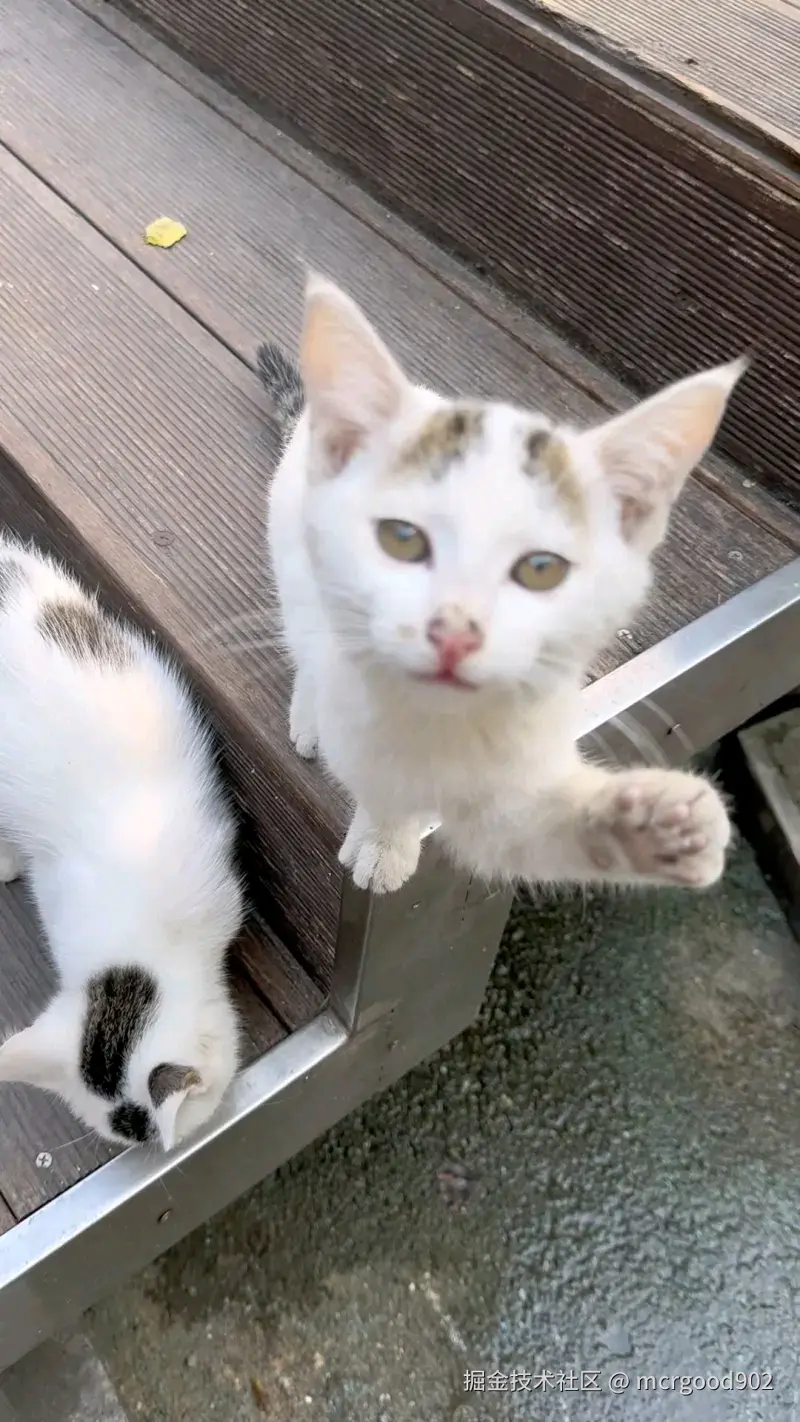 mcrgood902于2025-10-14 12:06发布的图片