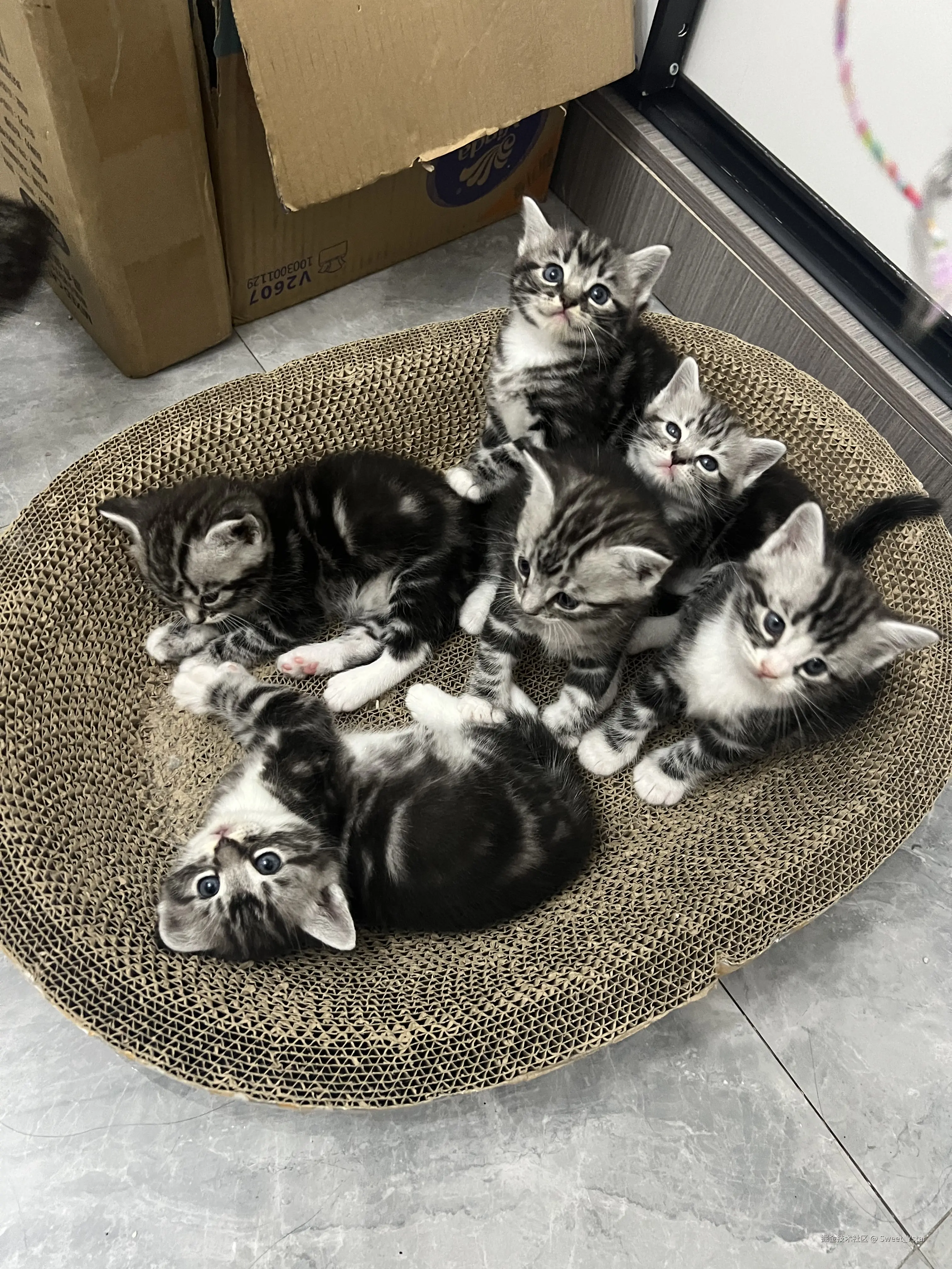 Sweet_Ystar于2026-02-13 15:57发布的图片