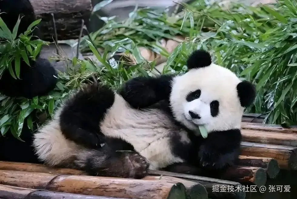 项目练习问题与复盘