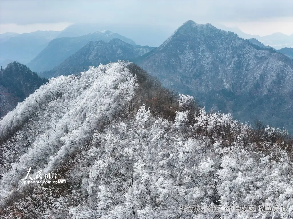 哇蓝蓝_摸鱼大队于2026-02-05 09:29发布的图片